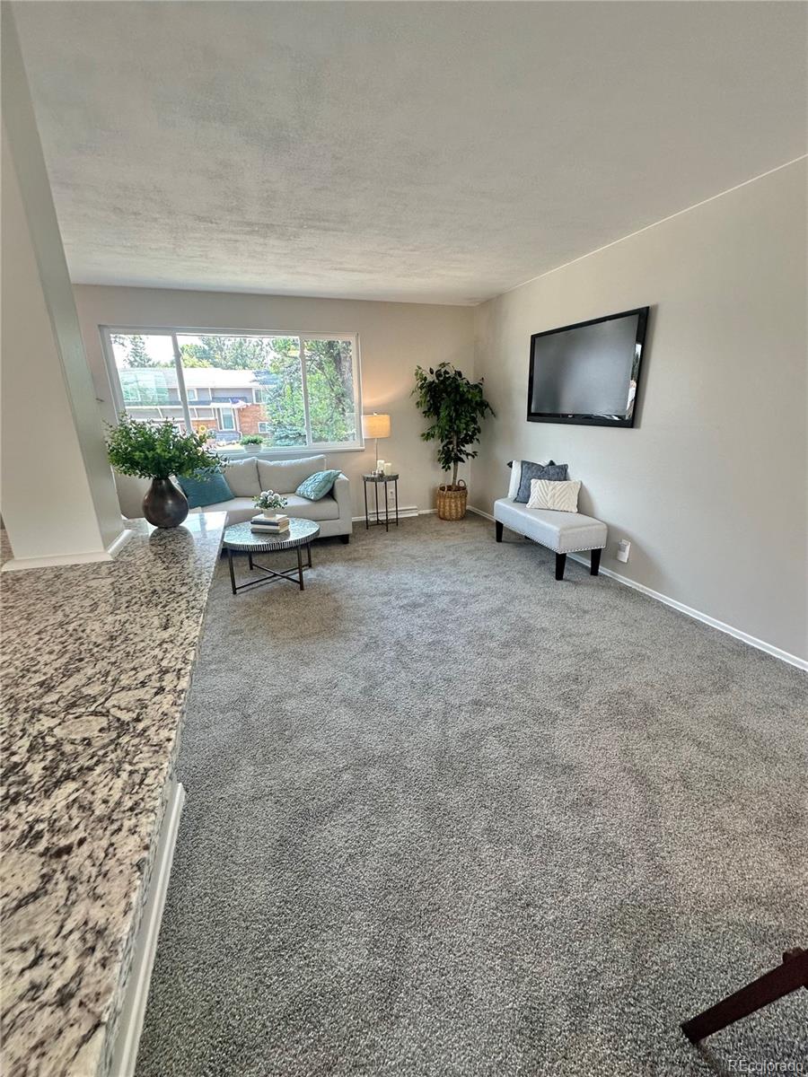 MLS Image #25 for 925 w 101st avenue,denver, Colorado