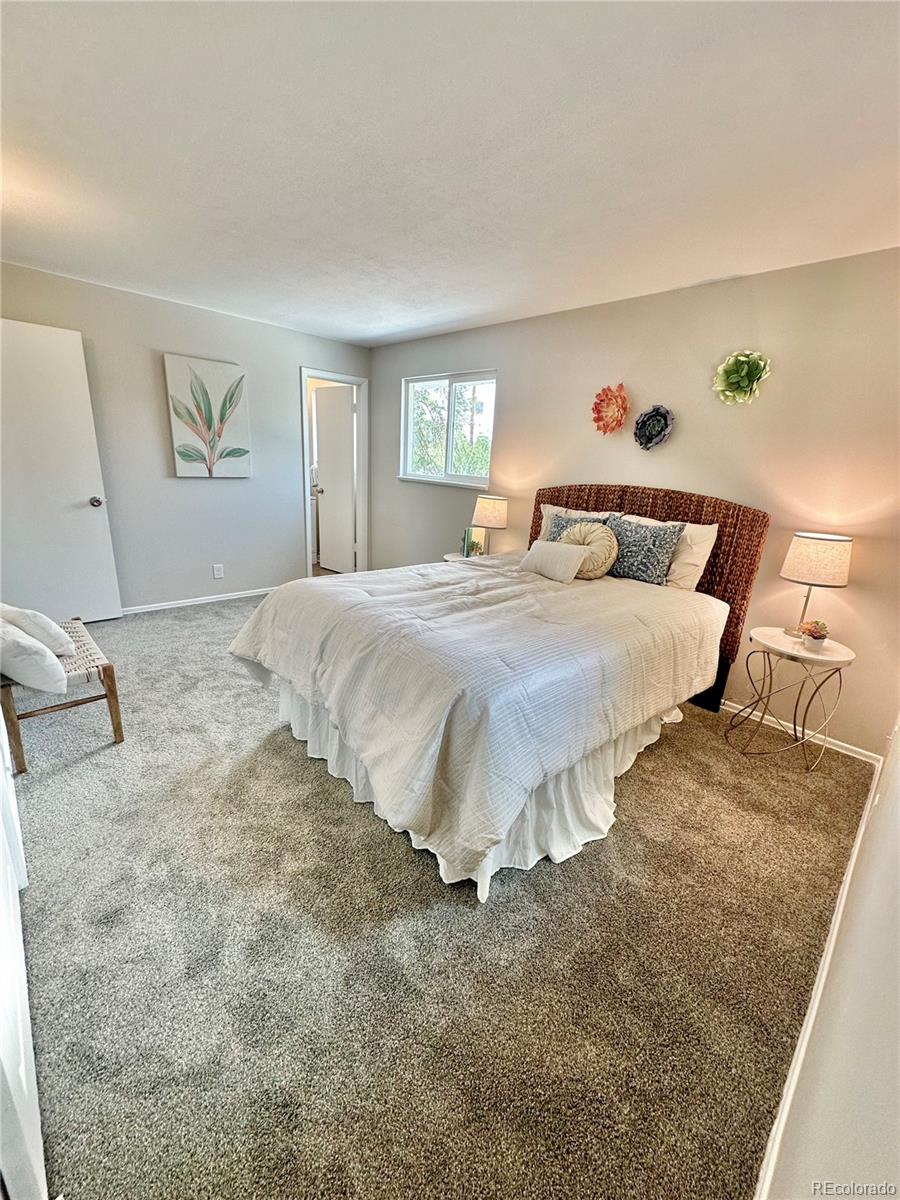 MLS Image #27 for 925 w 101st avenue,denver, Colorado