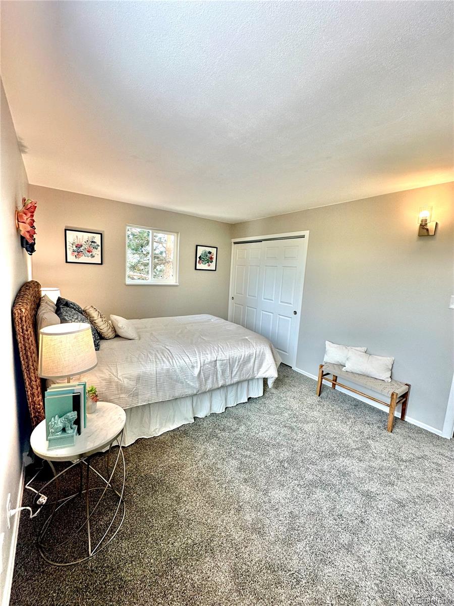 MLS Image #30 for 925 w 101st avenue,denver, Colorado