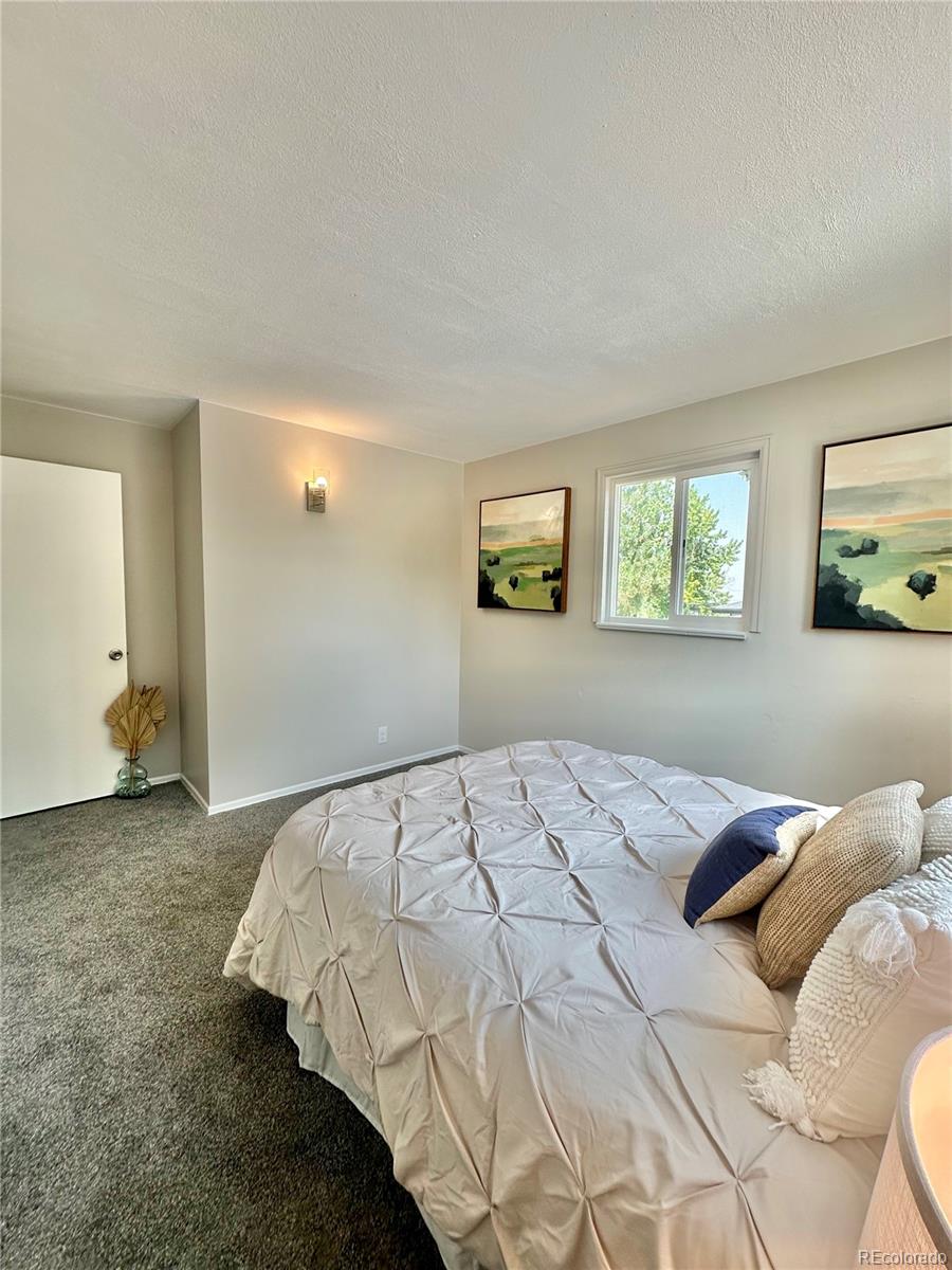 MLS Image #33 for 925 w 101st avenue,denver, Colorado