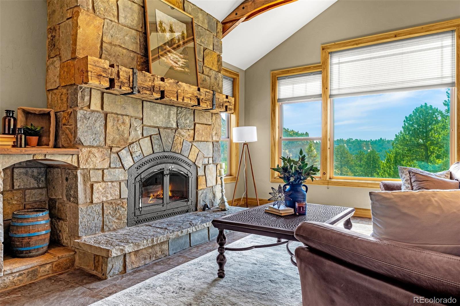MLS Image #13 for 5596  osage way,larkspur, Colorado