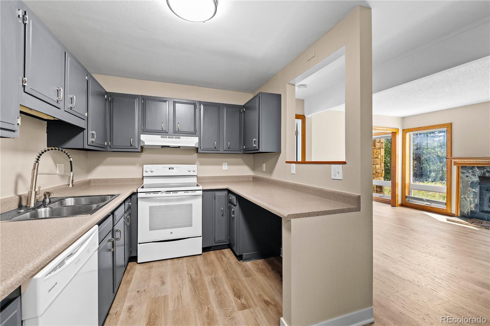 MLS Image #11 for 3452  ryan gulch road,silverthorne, Colorado