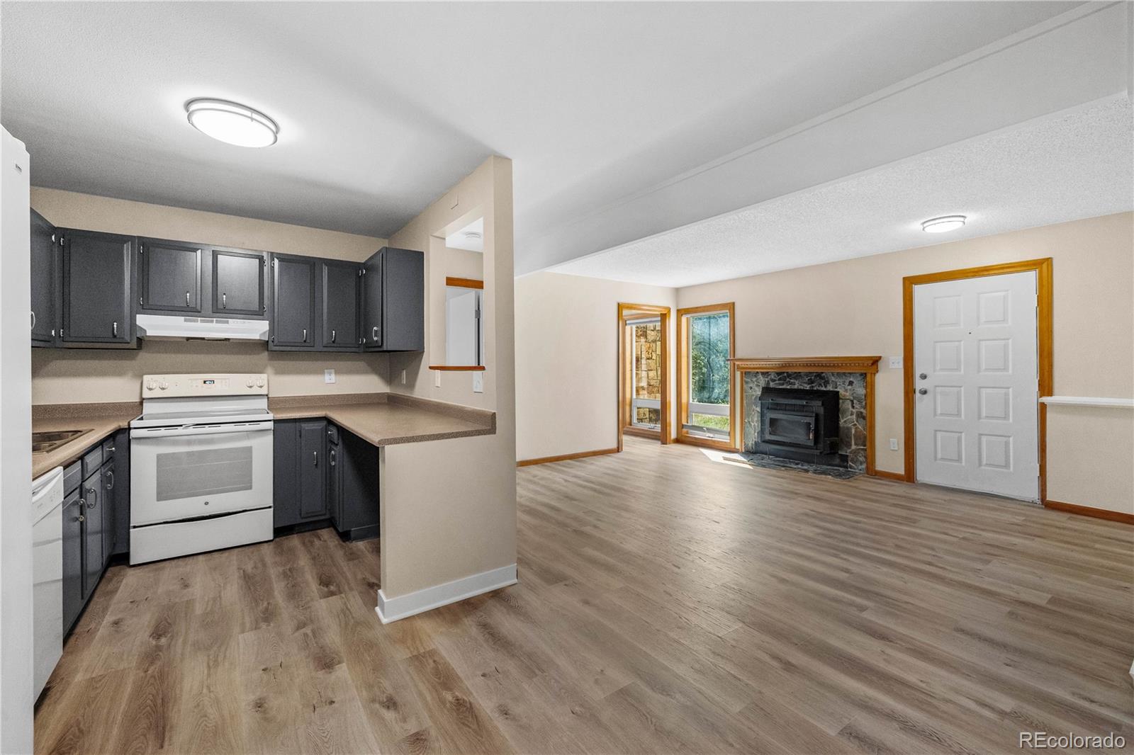 MLS Image #12 for 3452  ryan gulch road,silverthorne, Colorado