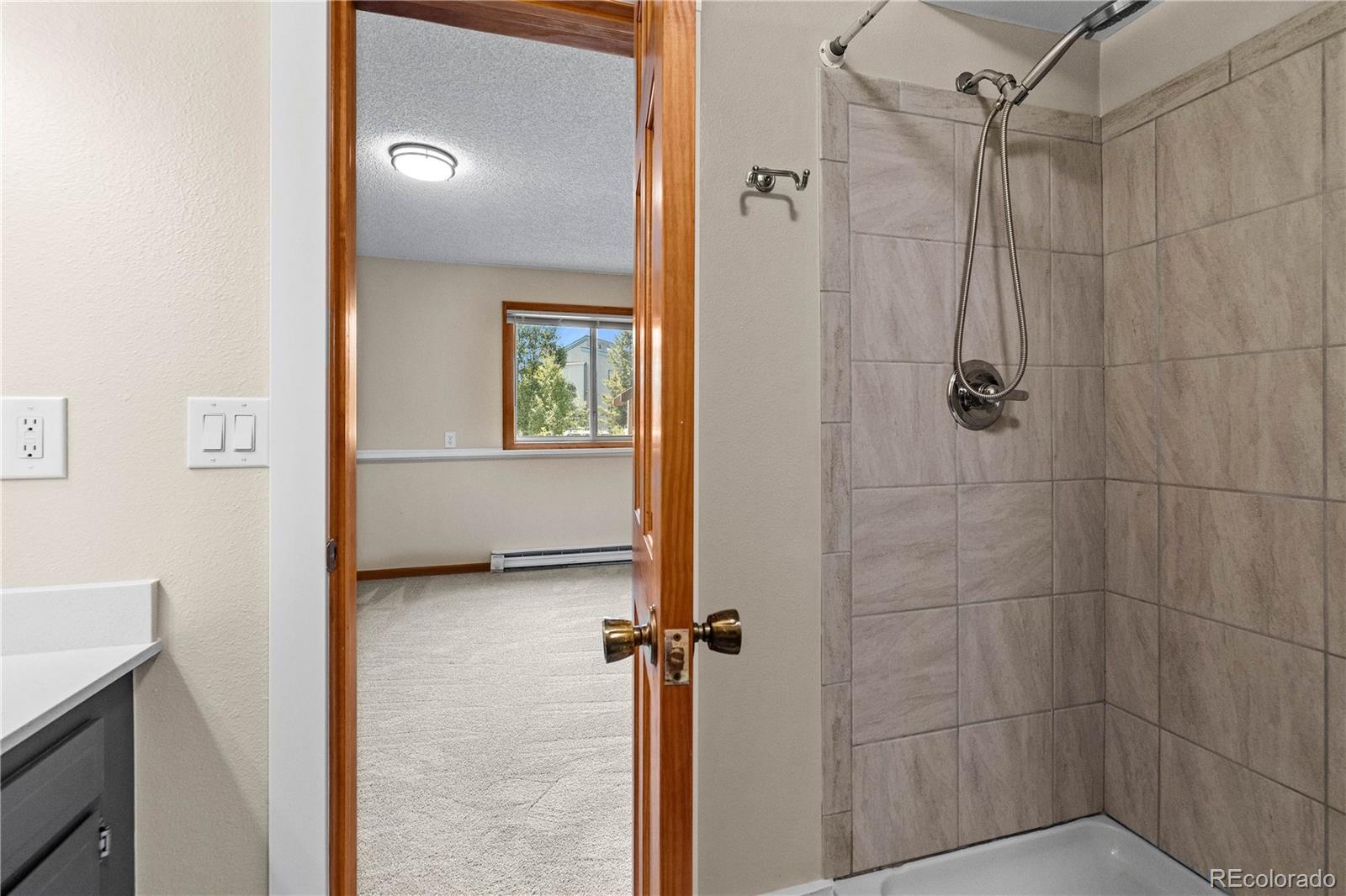 MLS Image #17 for 3452  ryan gulch road,silverthorne, Colorado