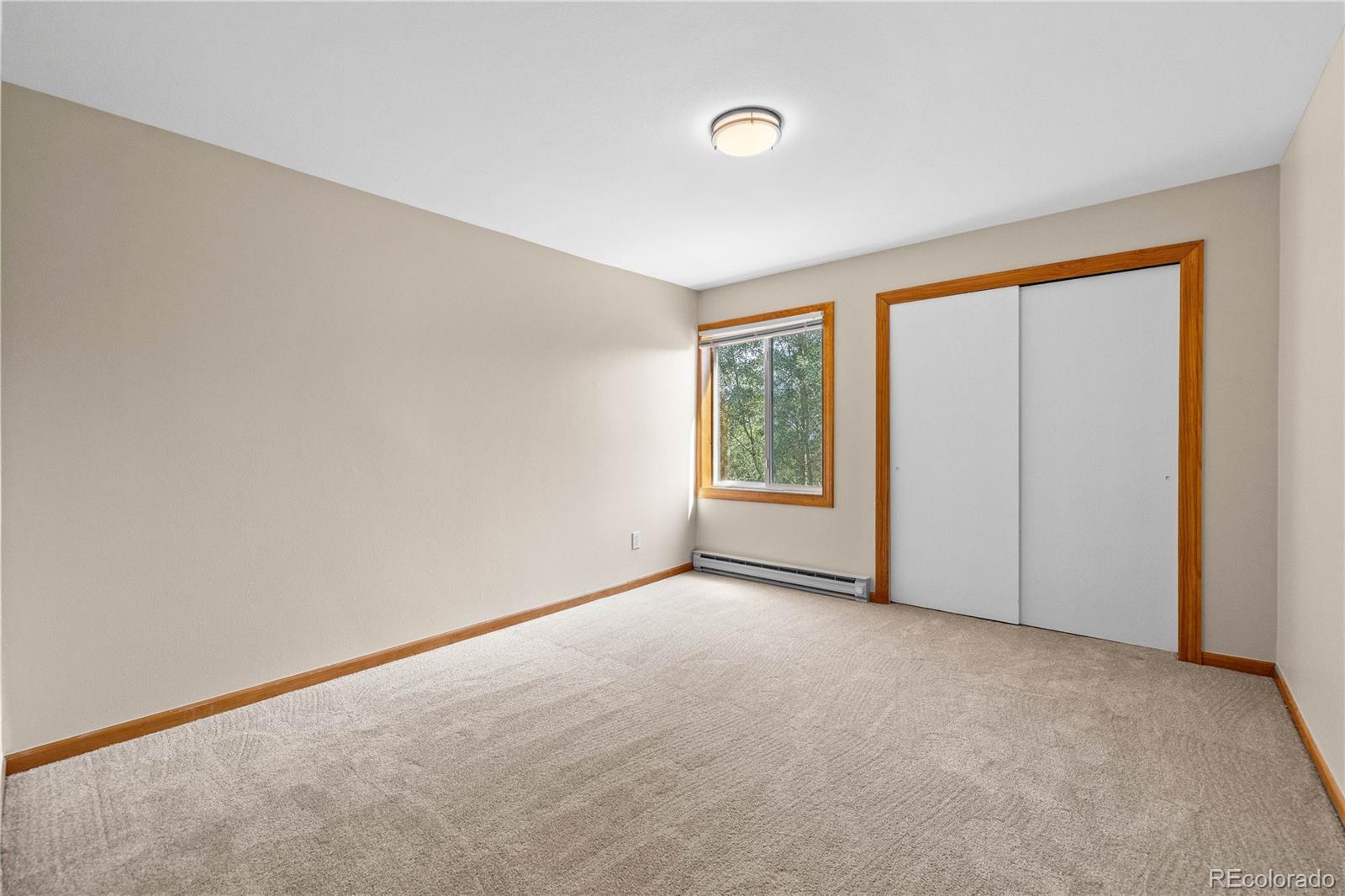 MLS Image #21 for 3452  ryan gulch road,silverthorne, Colorado