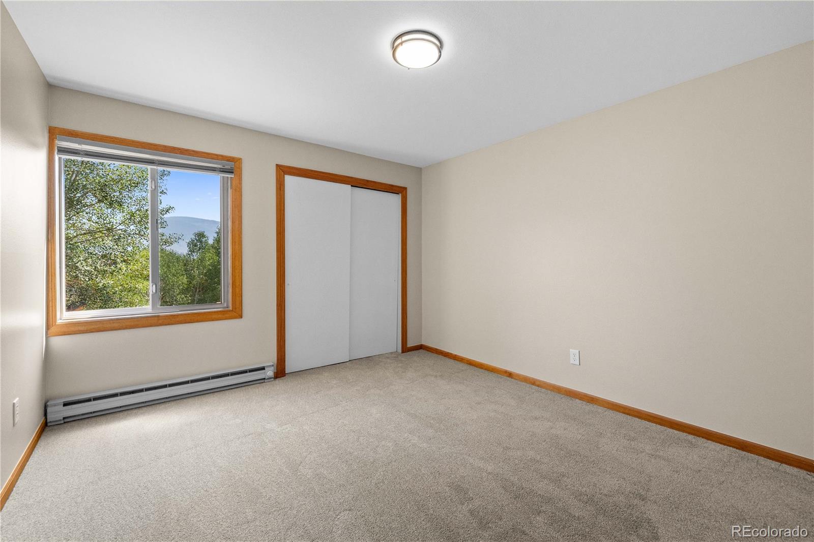 MLS Image #22 for 3452  ryan gulch road,silverthorne, Colorado