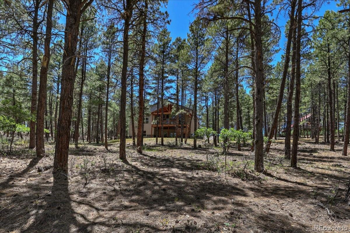 MLS Image #44 for 30  moffat court,pagosa springs, Colorado