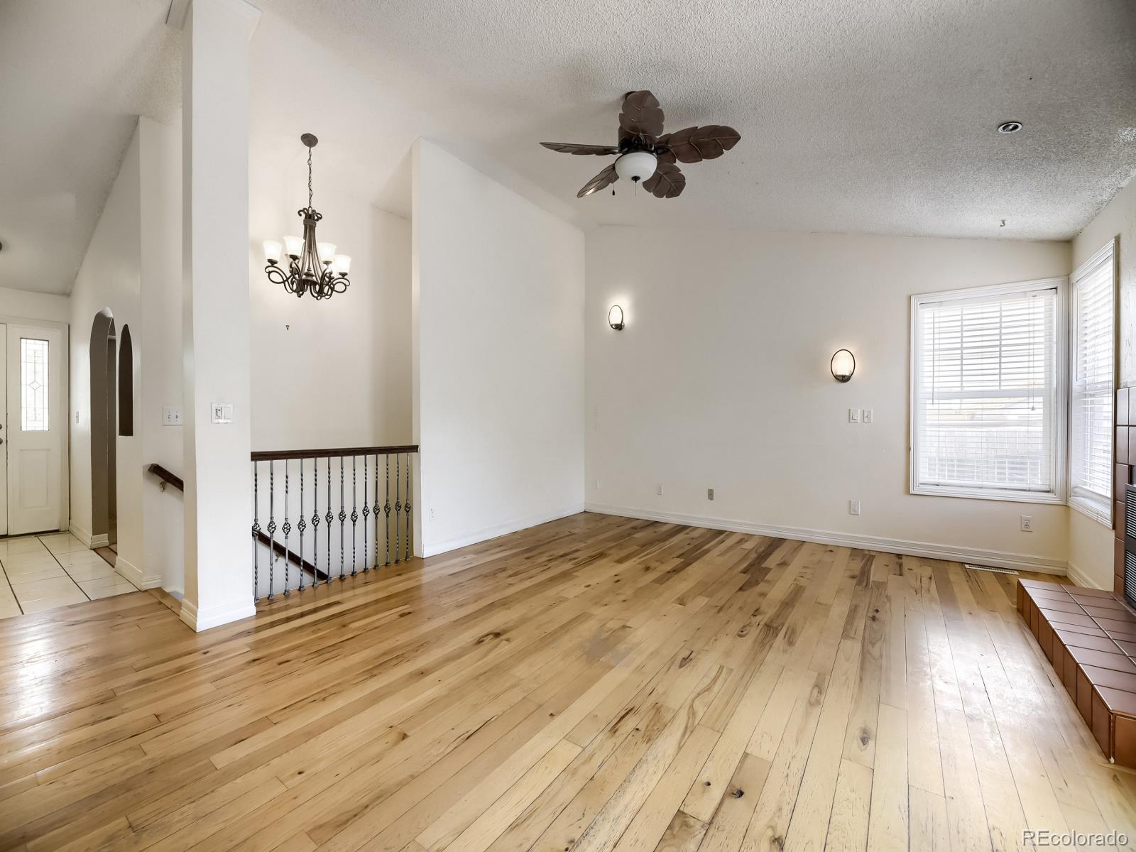 MLS Image #5 for 11866  blacktail mountain,littleton, Colorado