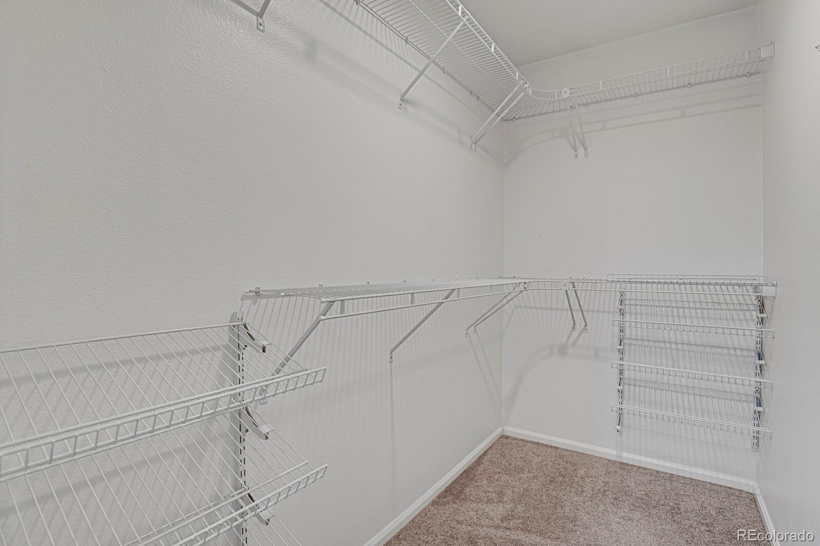 MLS Image #25 for 10037  darwin lane,highlands ranch, Colorado