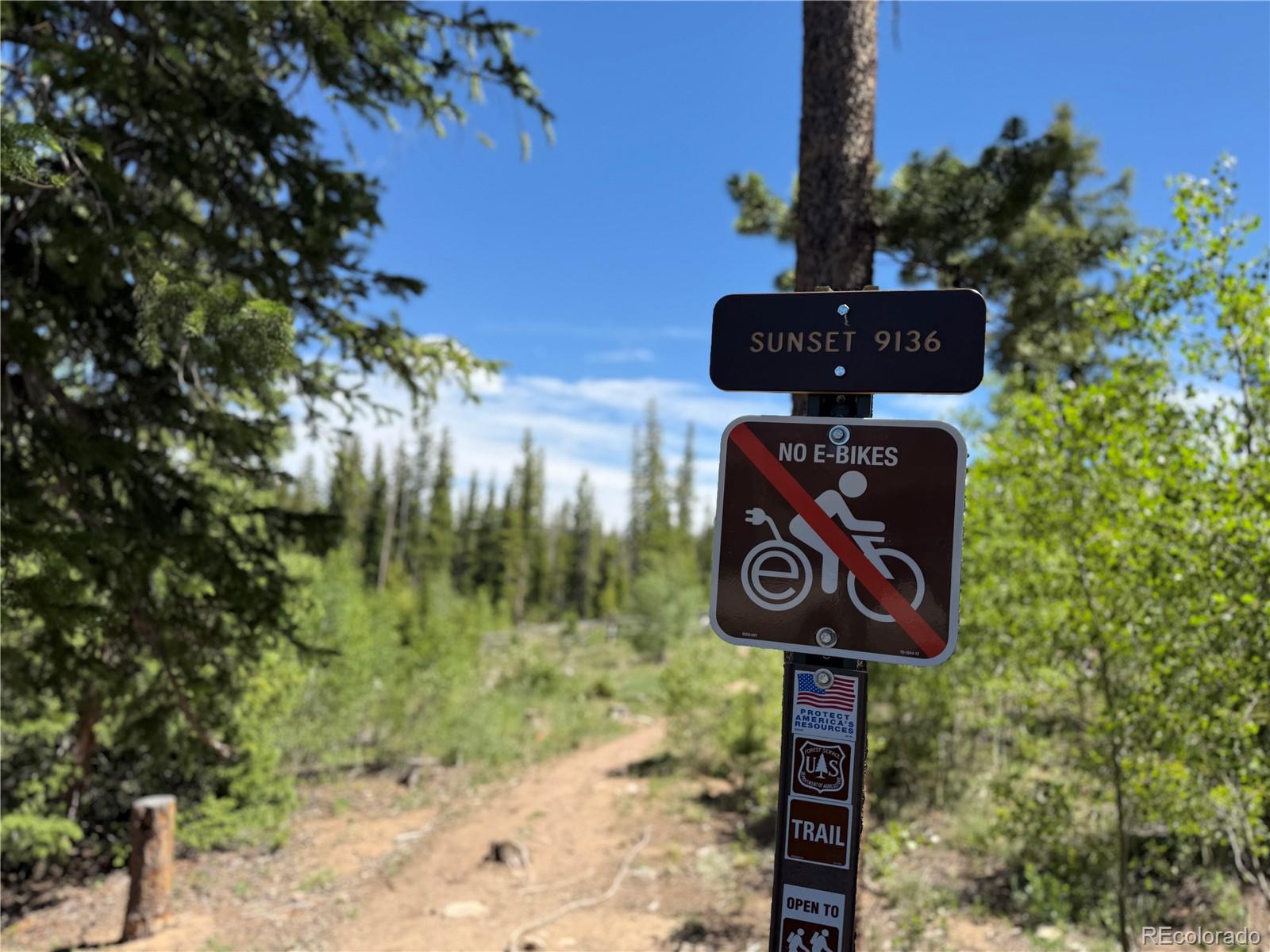 MLS Image #38 for 9800  ryan gulch road,silverthorne, Colorado