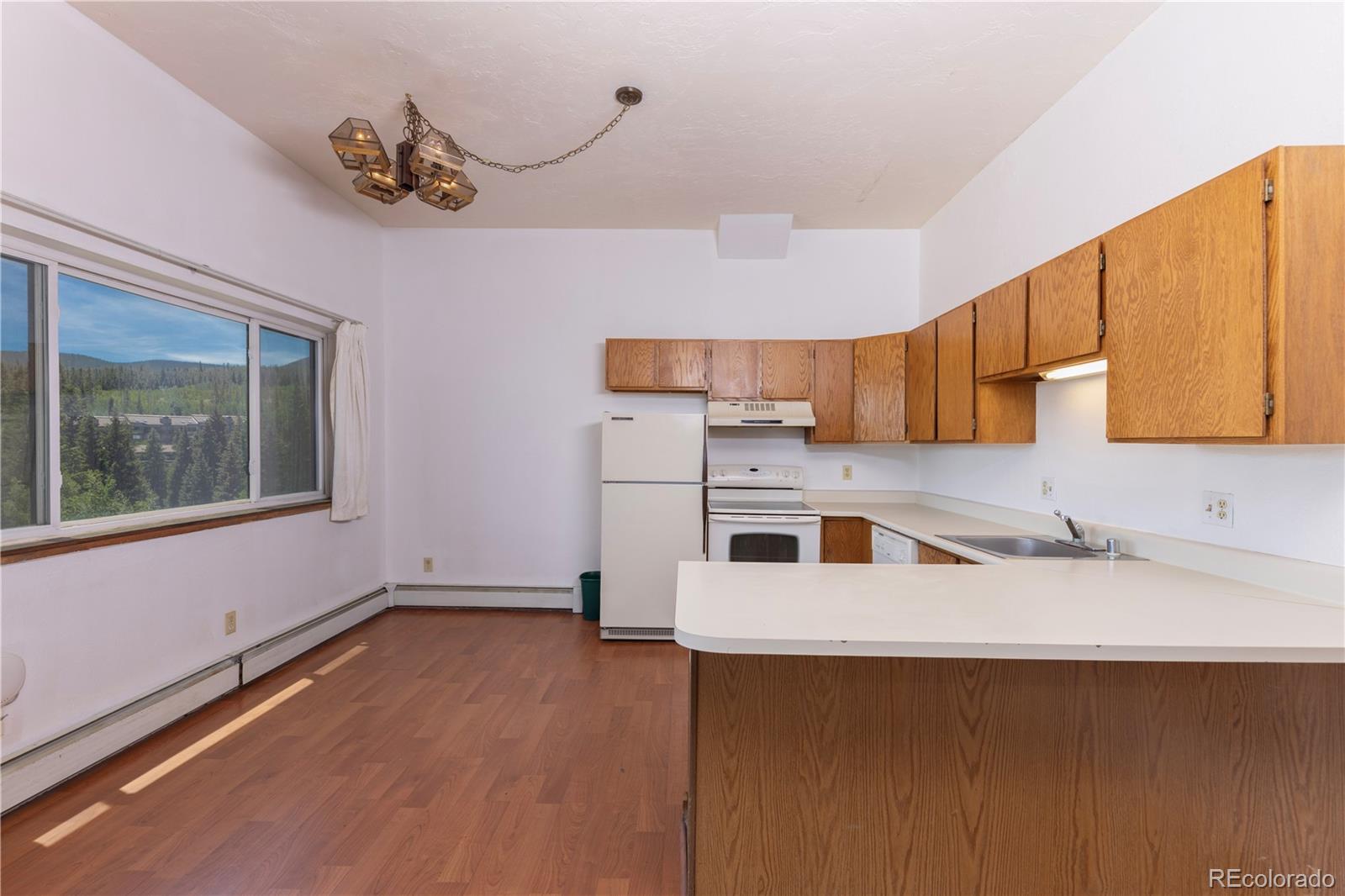 MLS Image #9 for 9800  ryan gulch road,silverthorne, Colorado