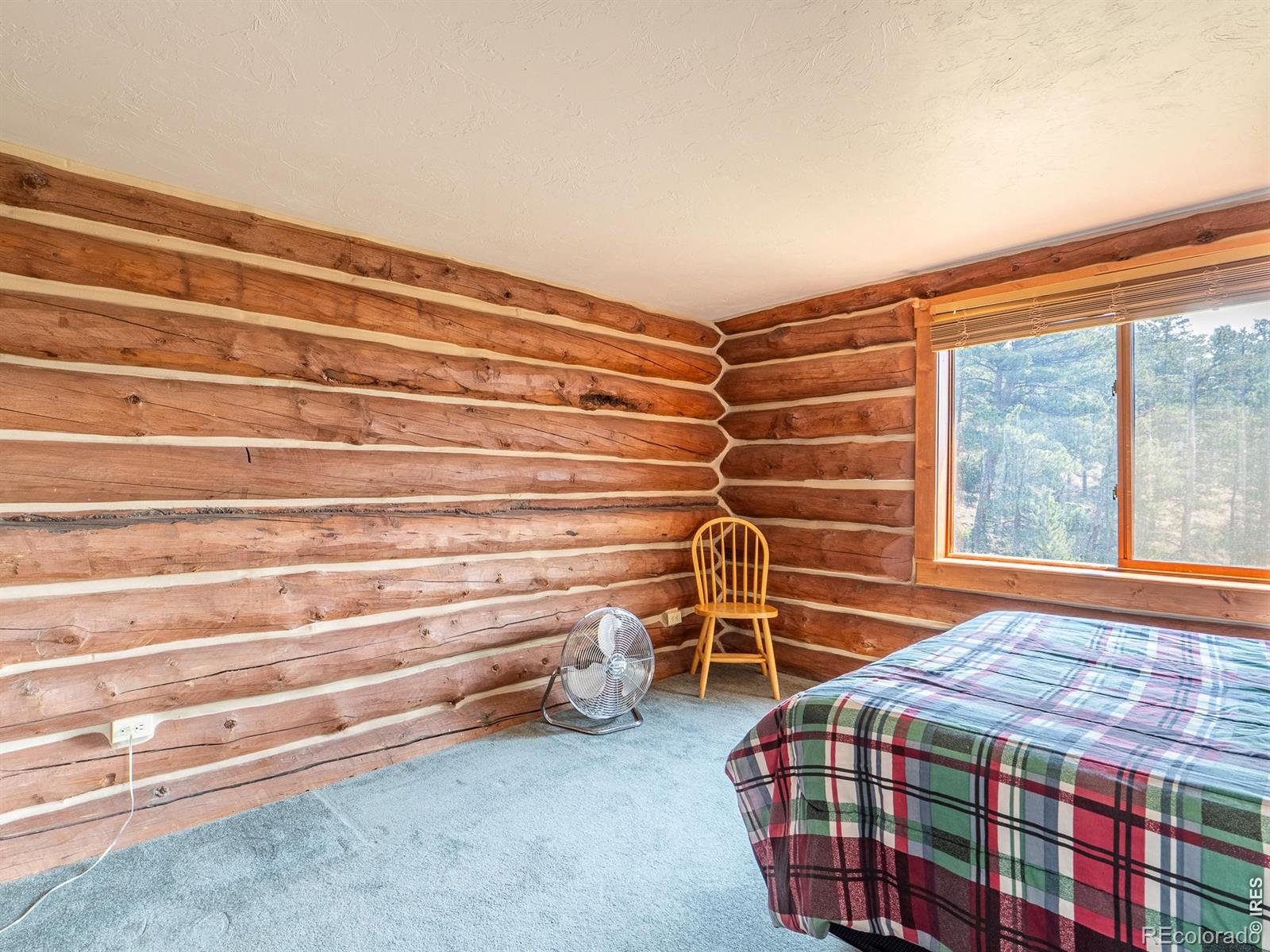 MLS Image #17 for 296  caddo road,red feather lakes, Colorado