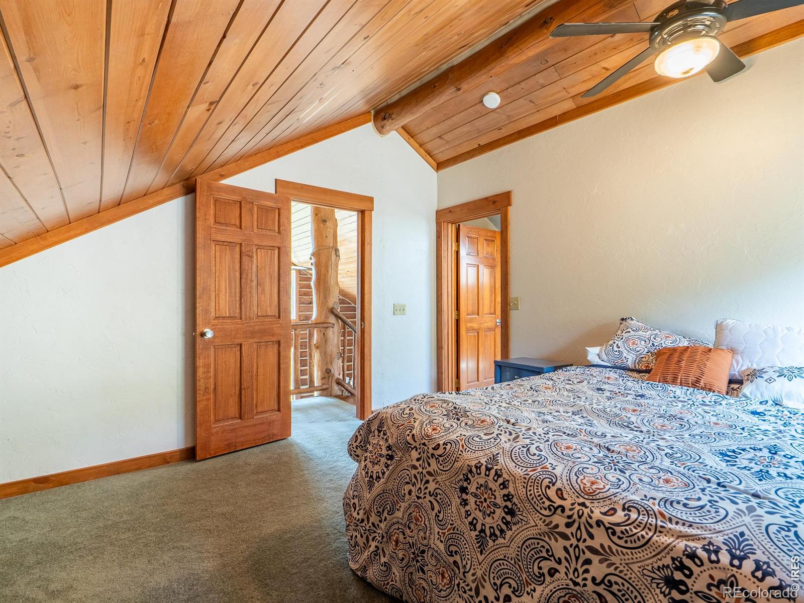 MLS Image #20 for 296  caddo road,red feather lakes, Colorado