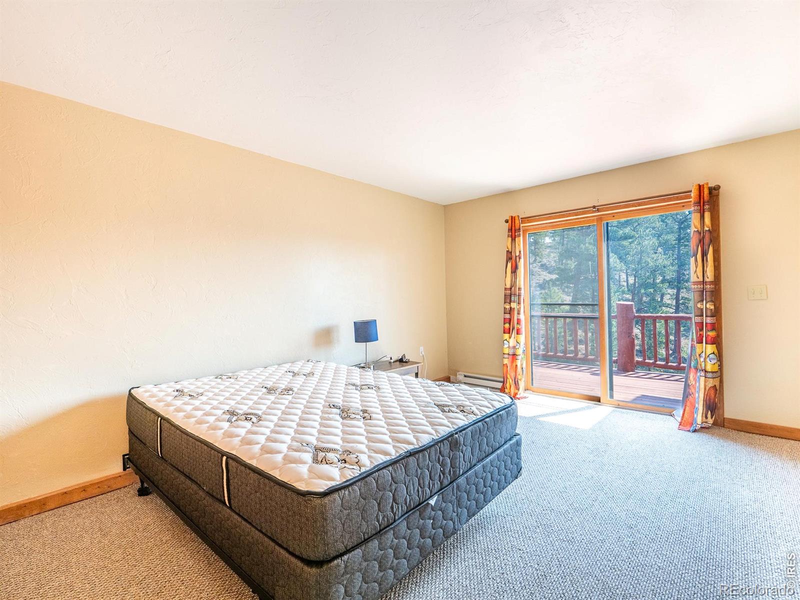 MLS Image #24 for 296  caddo road,red feather lakes, Colorado