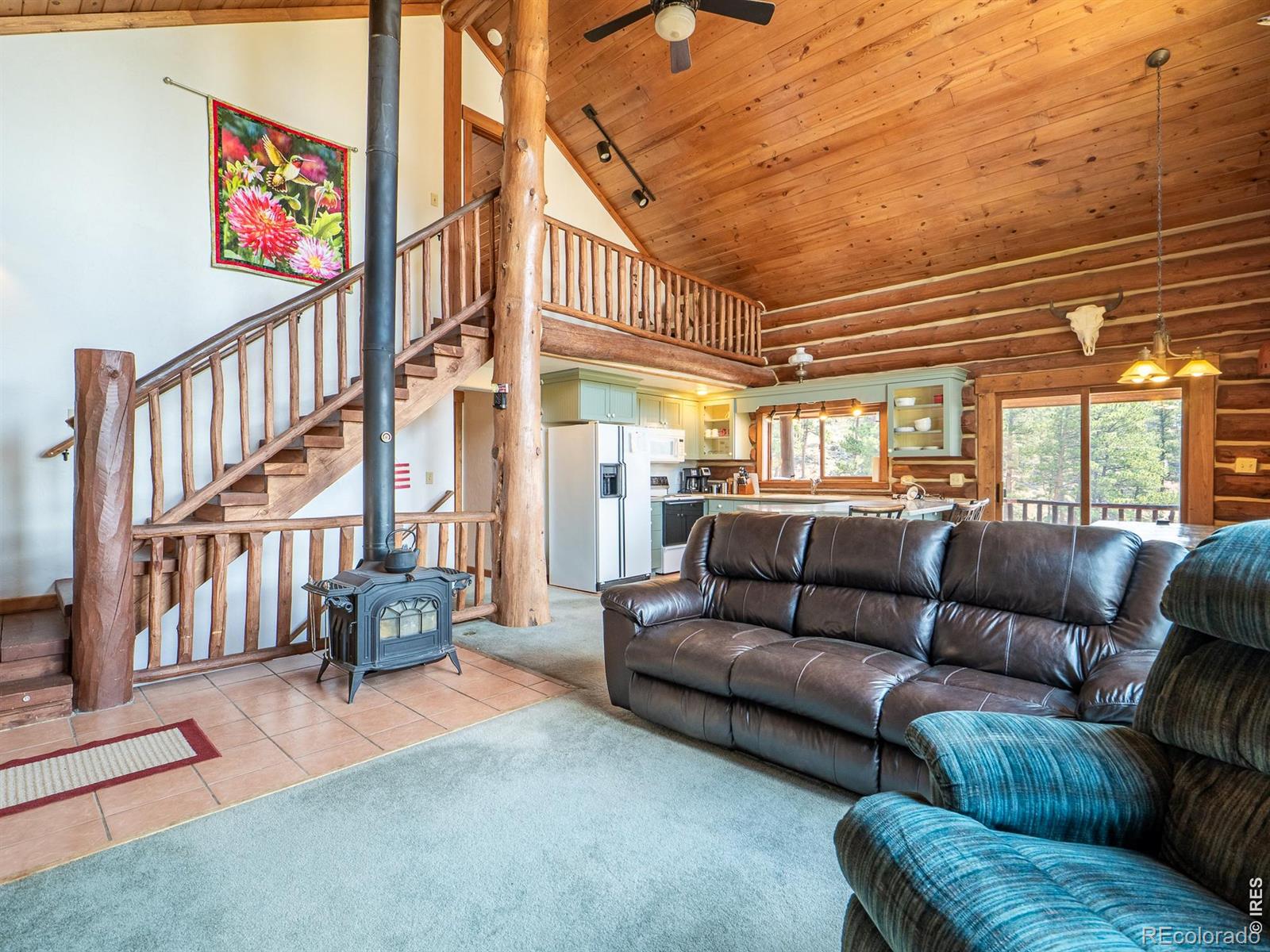 MLS Image #4 for 296  caddo road,red feather lakes, Colorado