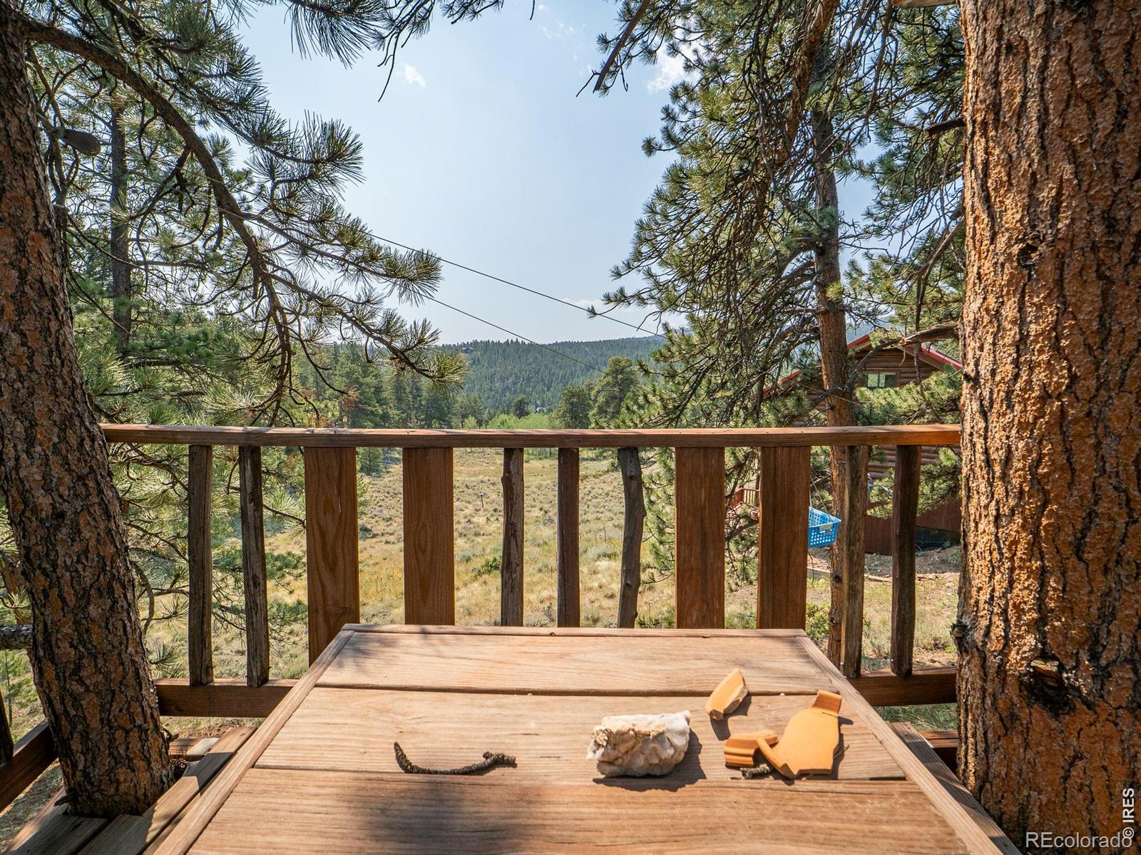 MLS Image #42 for 296  caddo road,red feather lakes, Colorado