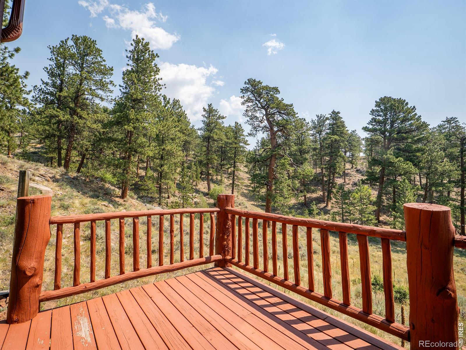 MLS Image #44 for 296  caddo road,red feather lakes, Colorado