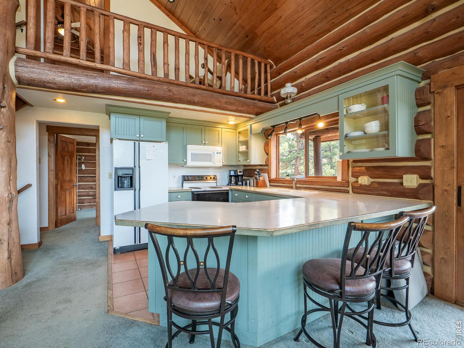 MLS Image #7 for 296  caddo road,red feather lakes, Colorado
