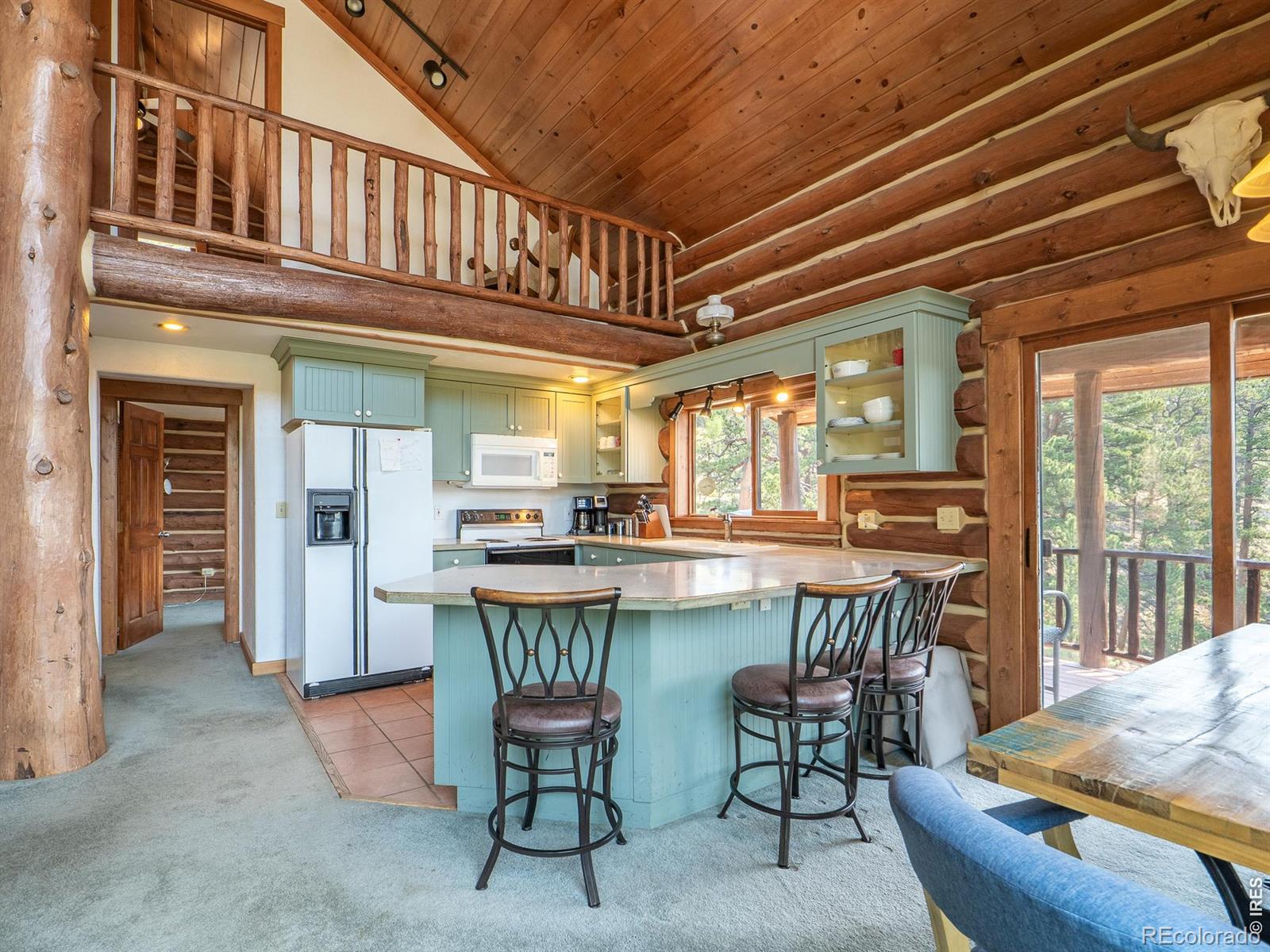 MLS Image #8 for 296  caddo road,red feather lakes, Colorado