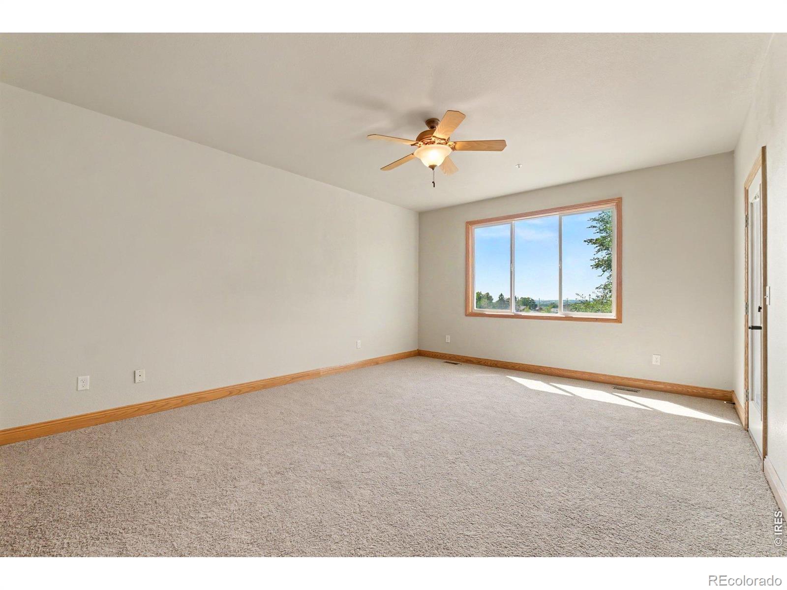 MLS Image #18 for 1754  nucla court,loveland, Colorado
