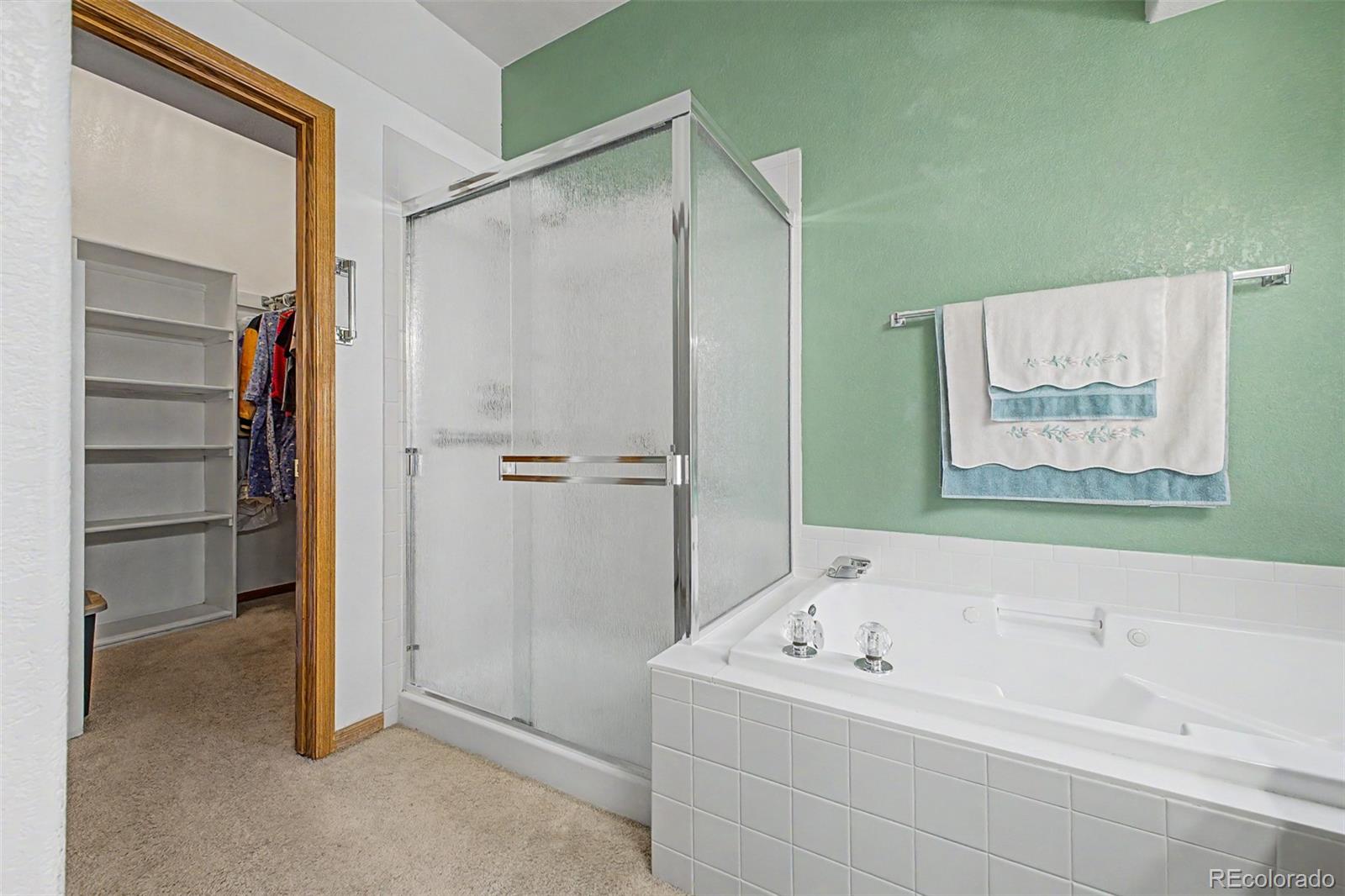 MLS Image #14 for 1217  autumn purple drive,loveland, Colorado