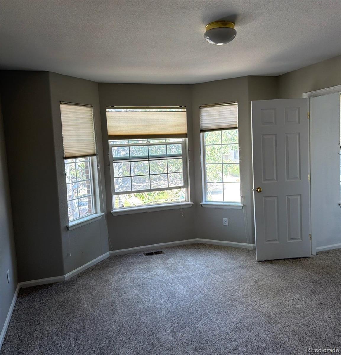 MLS Image #8 for 5974  sparrow avenue,longmont, Colorado