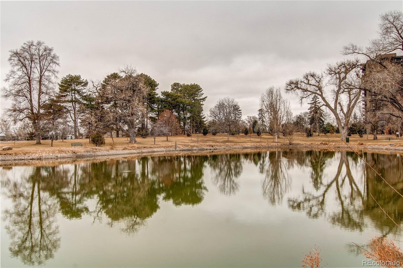 MLS Image #29 for 1317 s university boulevard,denver, Colorado