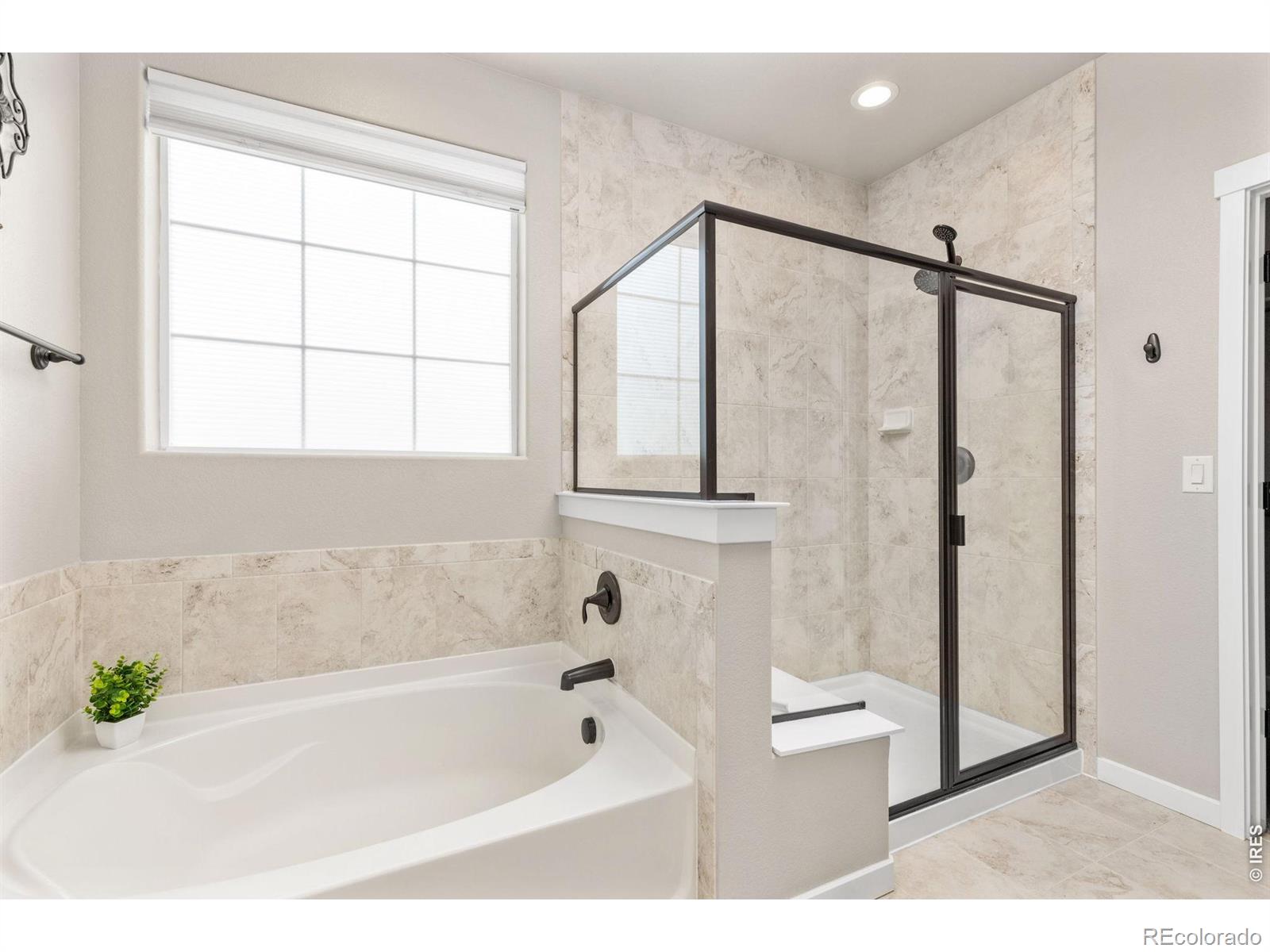 MLS Image #16 for 2176  day spring drive,windsor, Colorado