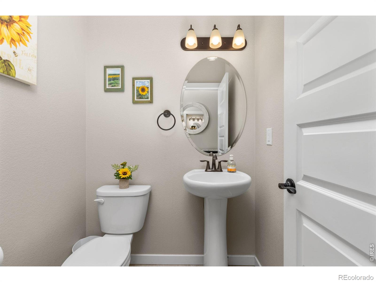 MLS Image #19 for 2176  day spring drive,windsor, Colorado