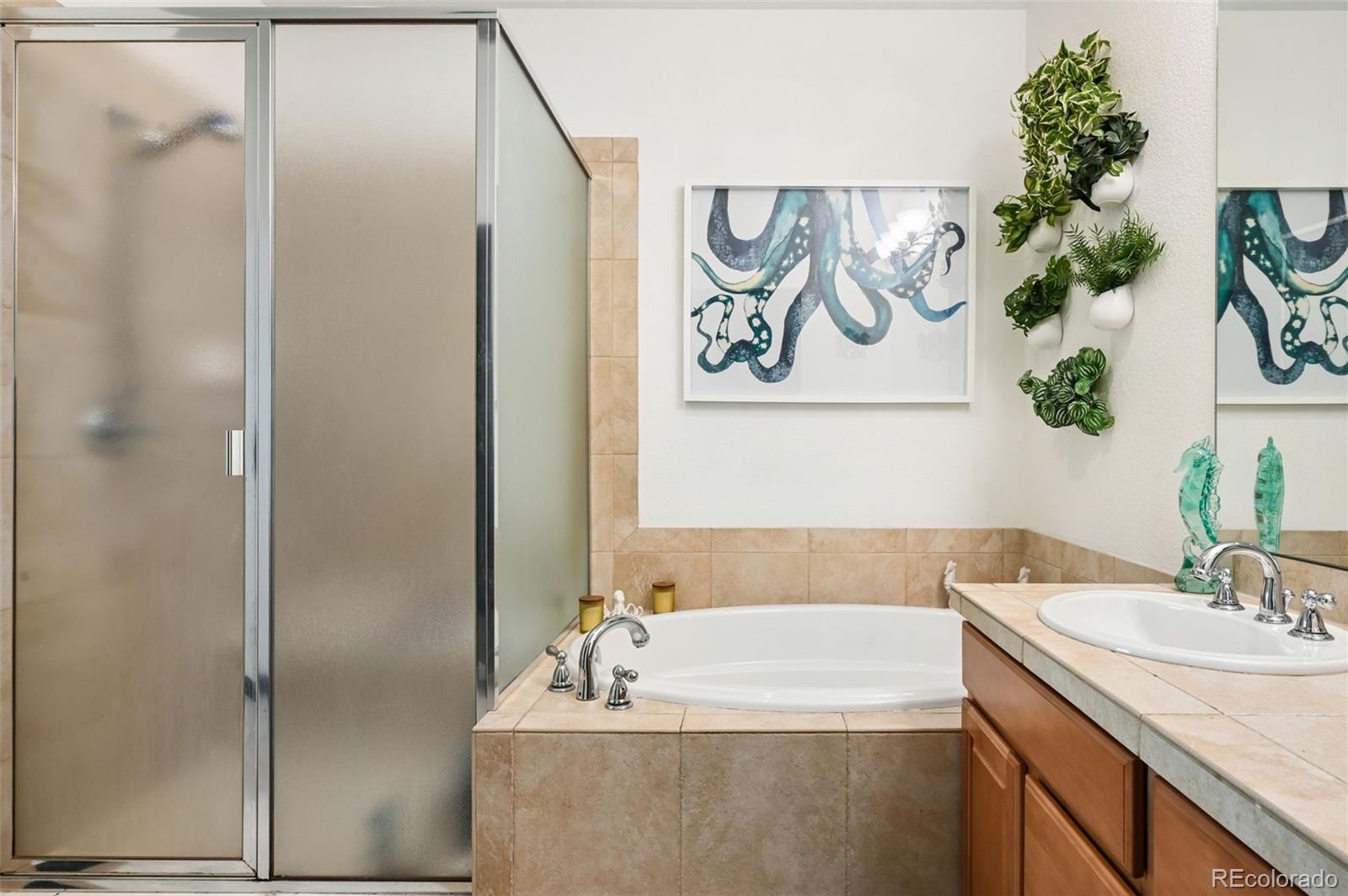 MLS Image #15 for 8572  ellis street,arvada, Colorado