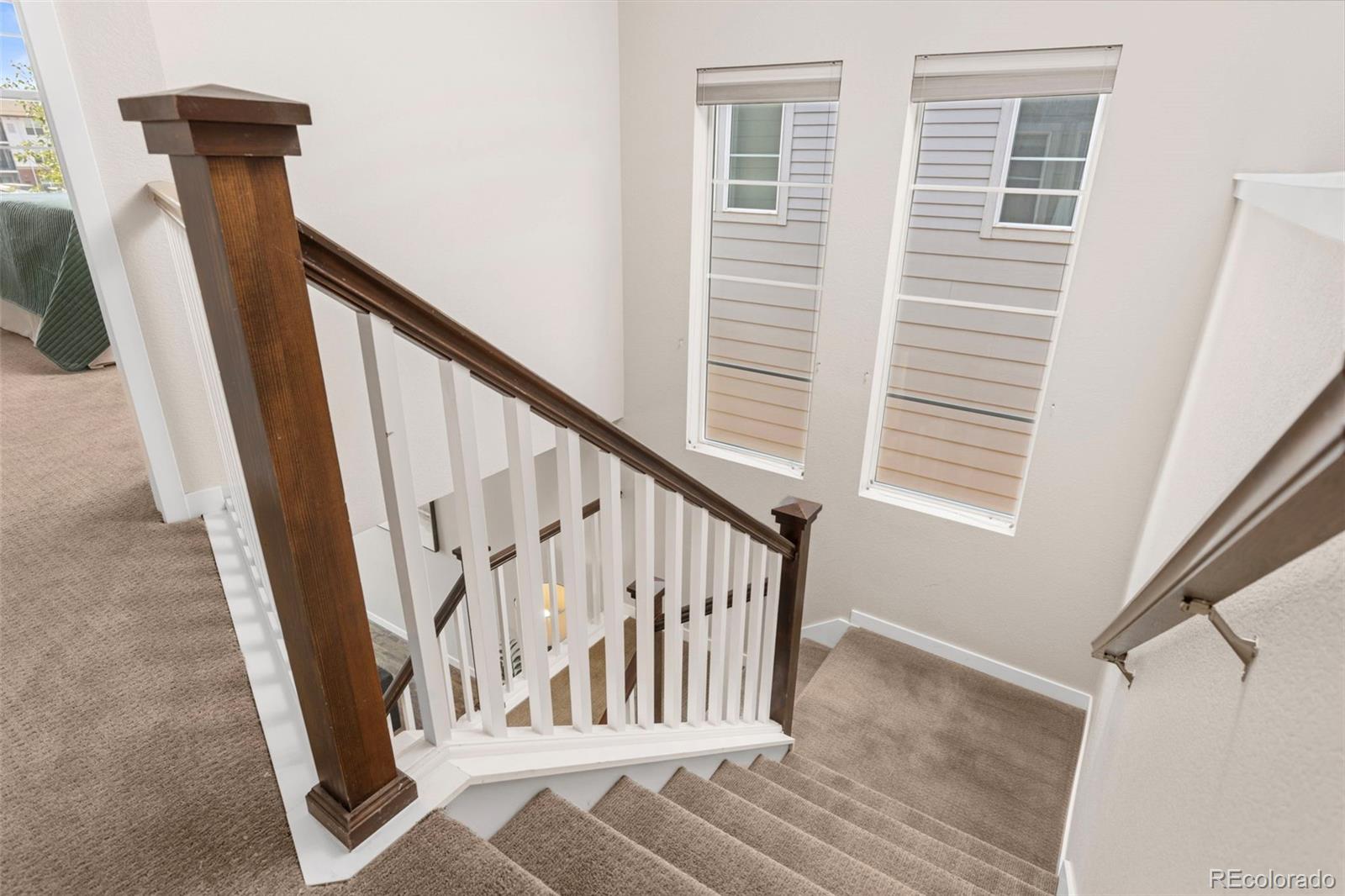 MLS Image #16 for 4100  albion street,denver, Colorado