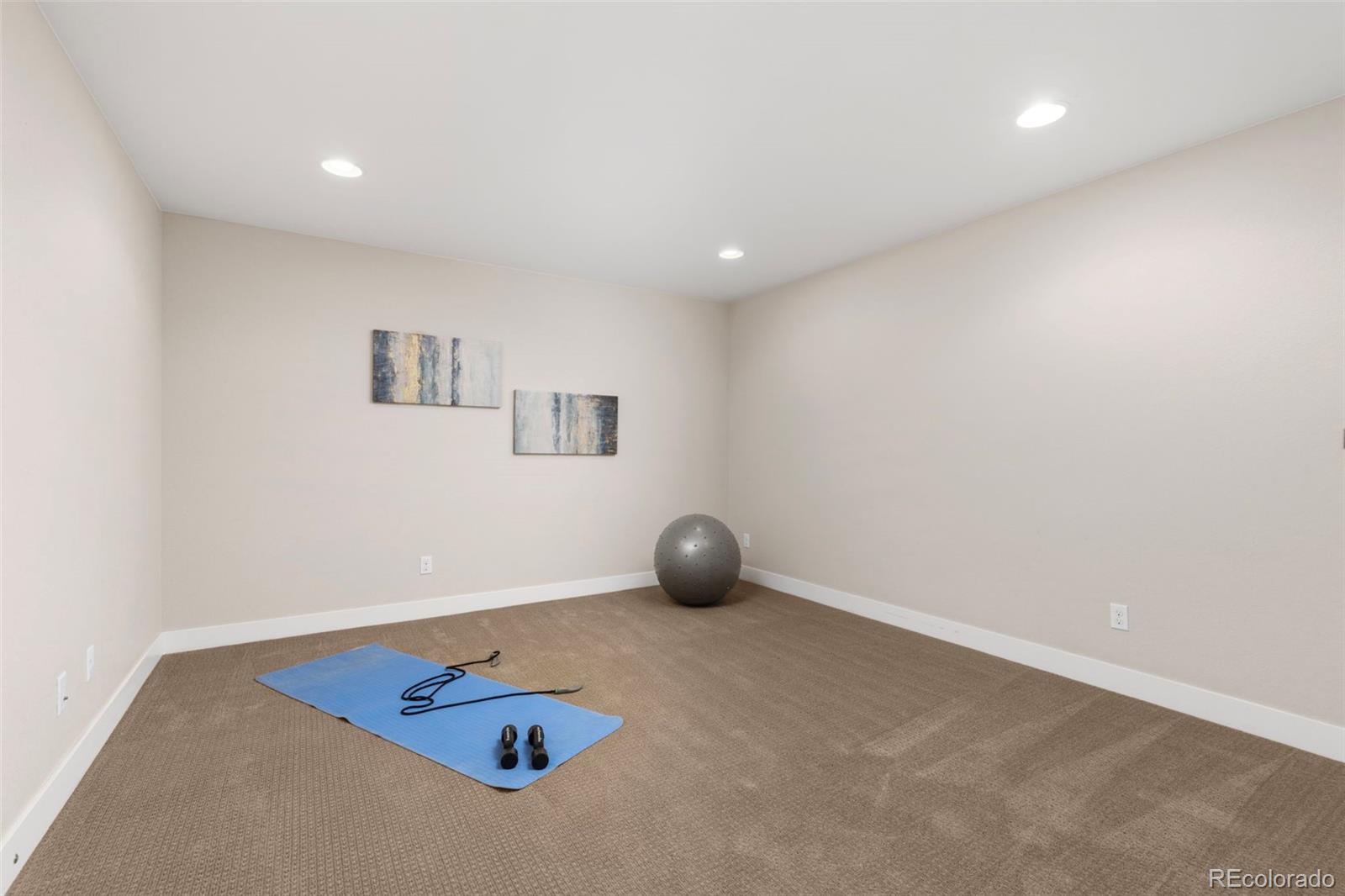 MLS Image #28 for 4100  albion street,denver, Colorado
