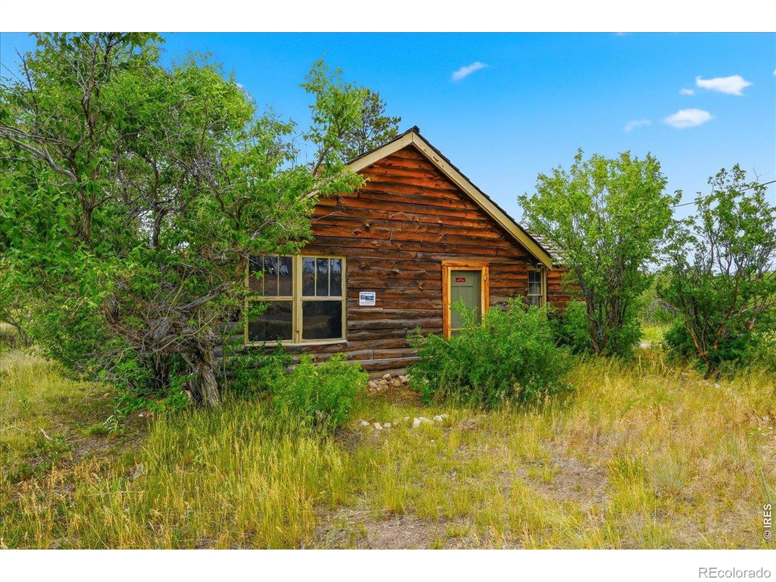 MLS Image #18 for 601  county road 67j ,red feather lakes, Colorado