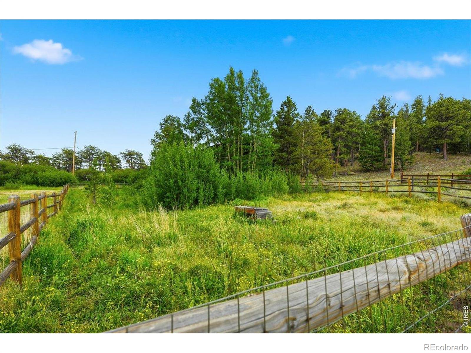 MLS Image #24 for 601  county road 67j ,red feather lakes, Colorado