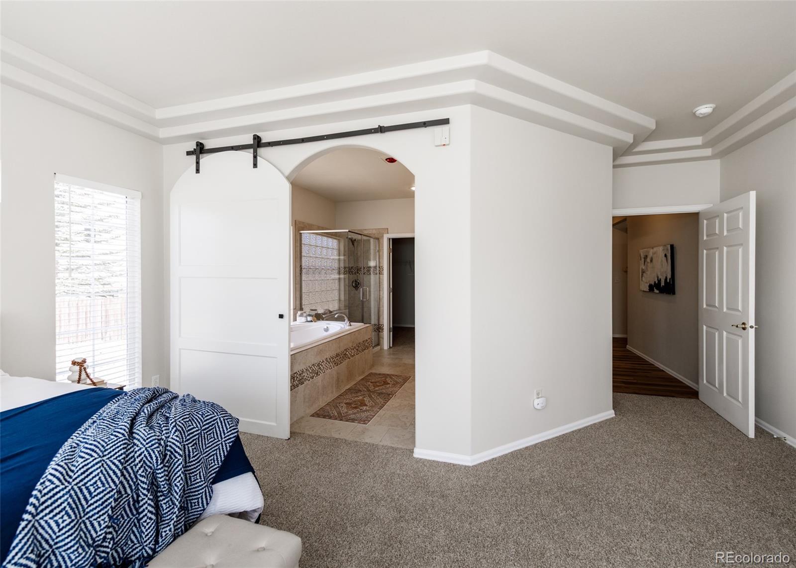 MLS Image #21 for 9506  hollydale court,colorado springs, Colorado