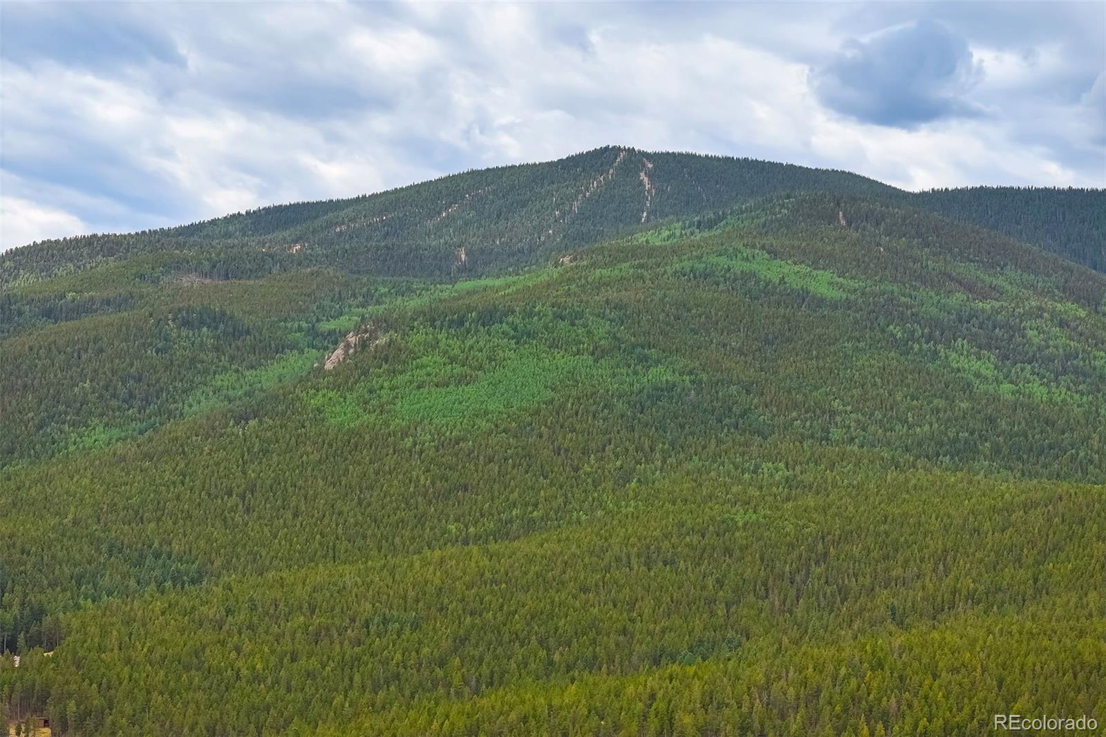 MLS Image #43 for 8680  london lane,conifer, Colorado