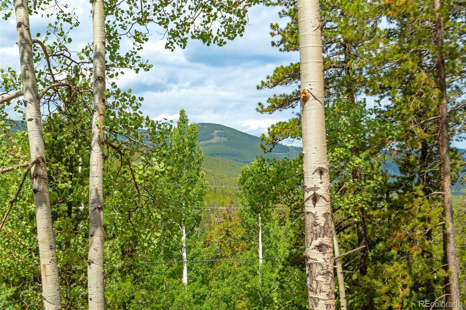 MLS Image #6 for 8680  london lane,conifer, Colorado