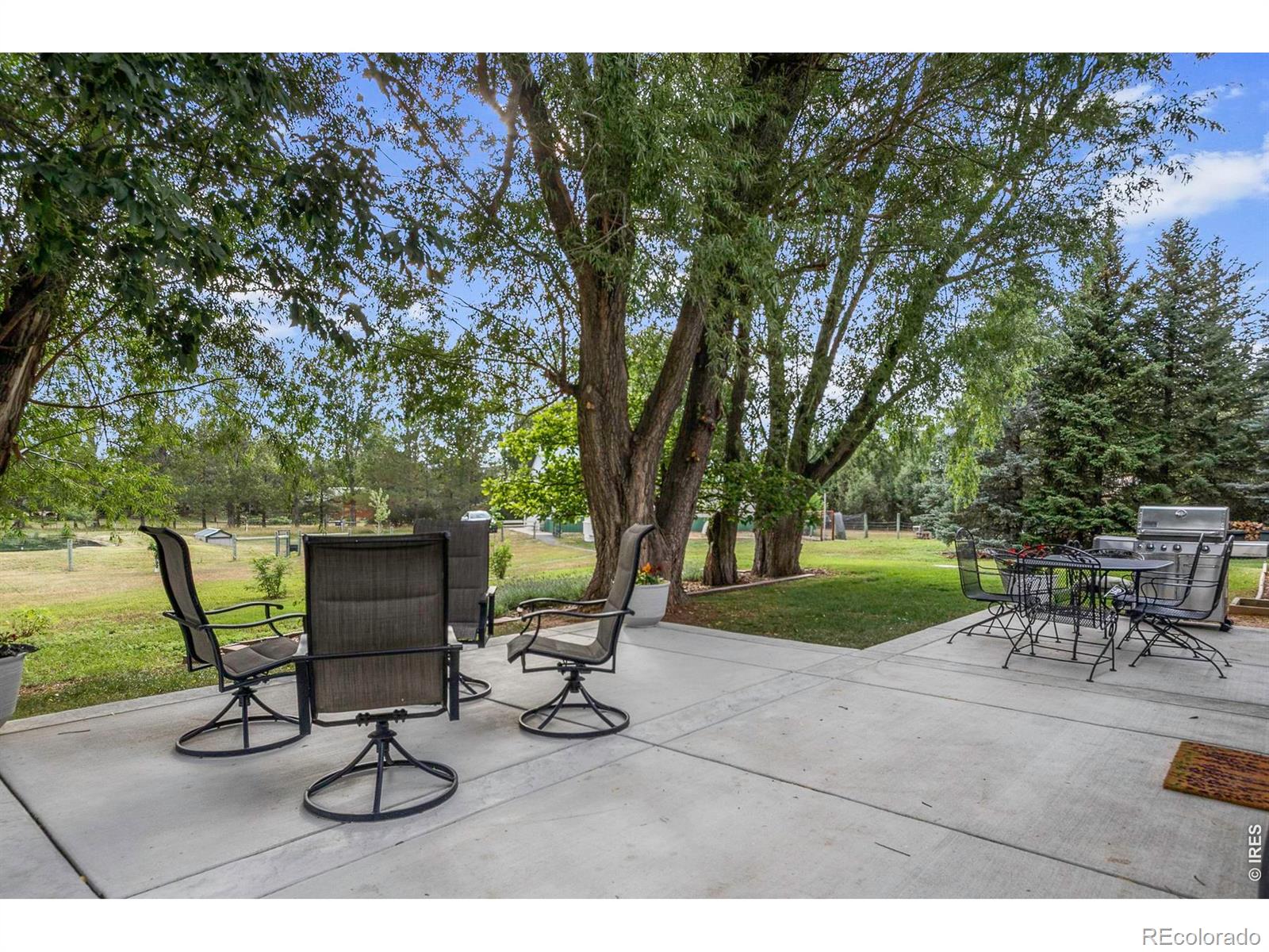 MLS Image #14 for 619 w county road 66e ,fort collins, Colorado