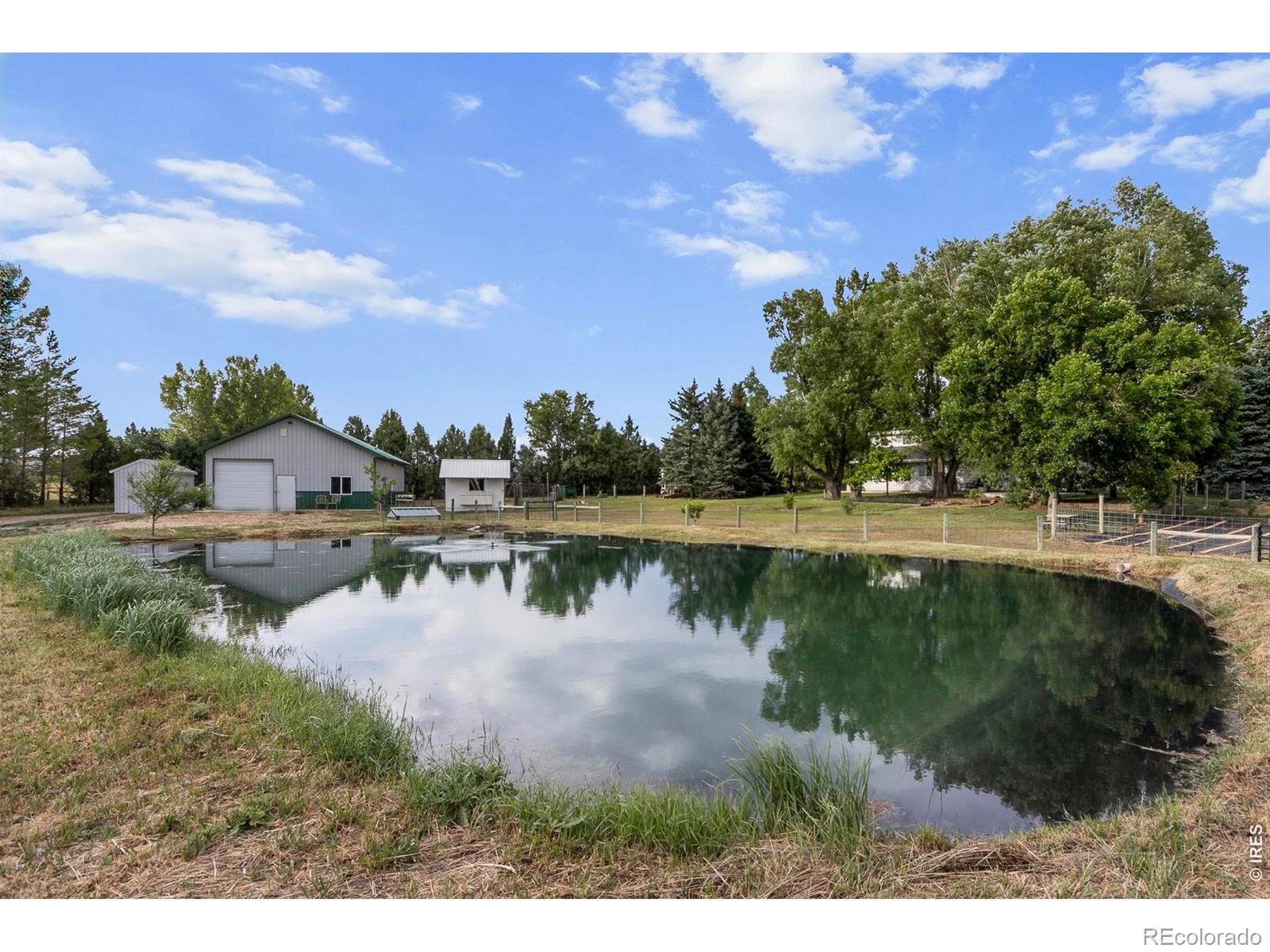MLS Image #20 for 619 w county road 66e ,fort collins, Colorado
