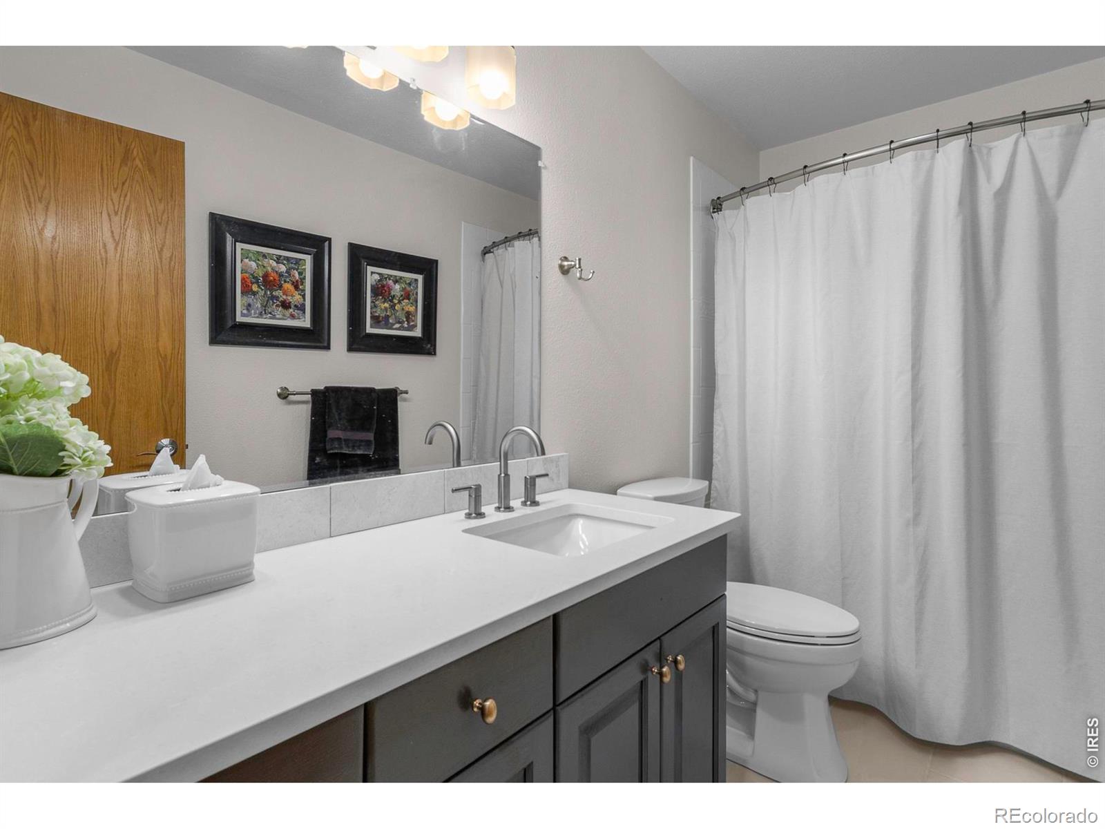 MLS Image #43 for 619 w county road 66e ,fort collins, Colorado