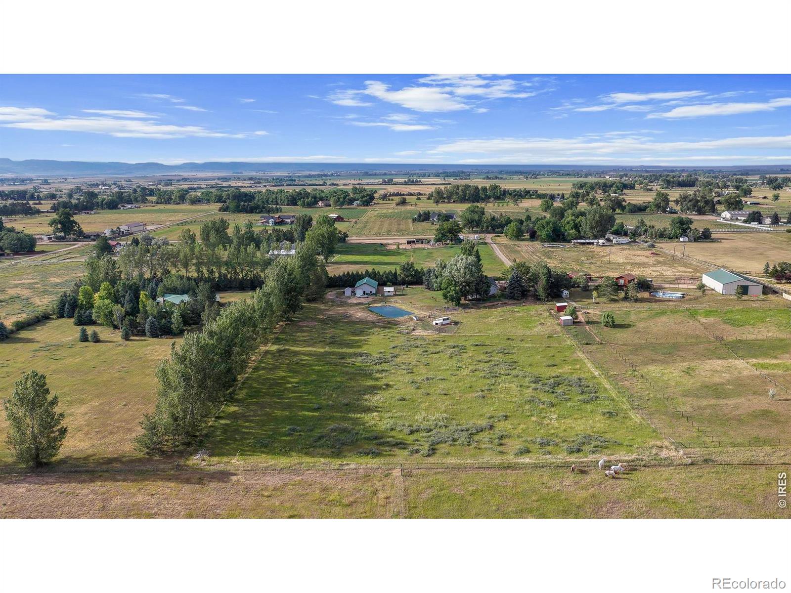 MLS Image #7 for 619 w county road 66e ,fort collins, Colorado