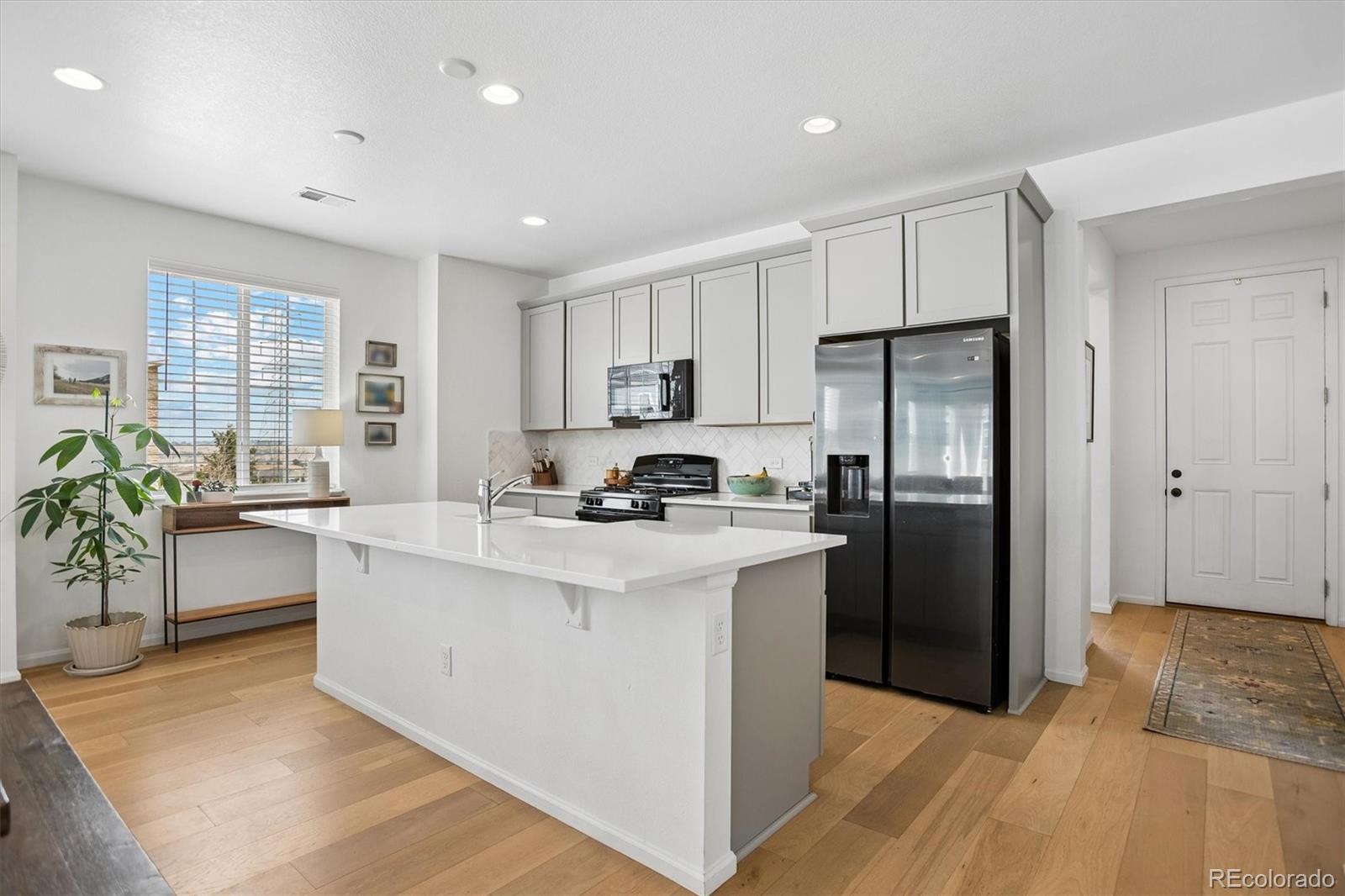 MLS Image #10 for 9175  fraser river street,littleton, Colorado