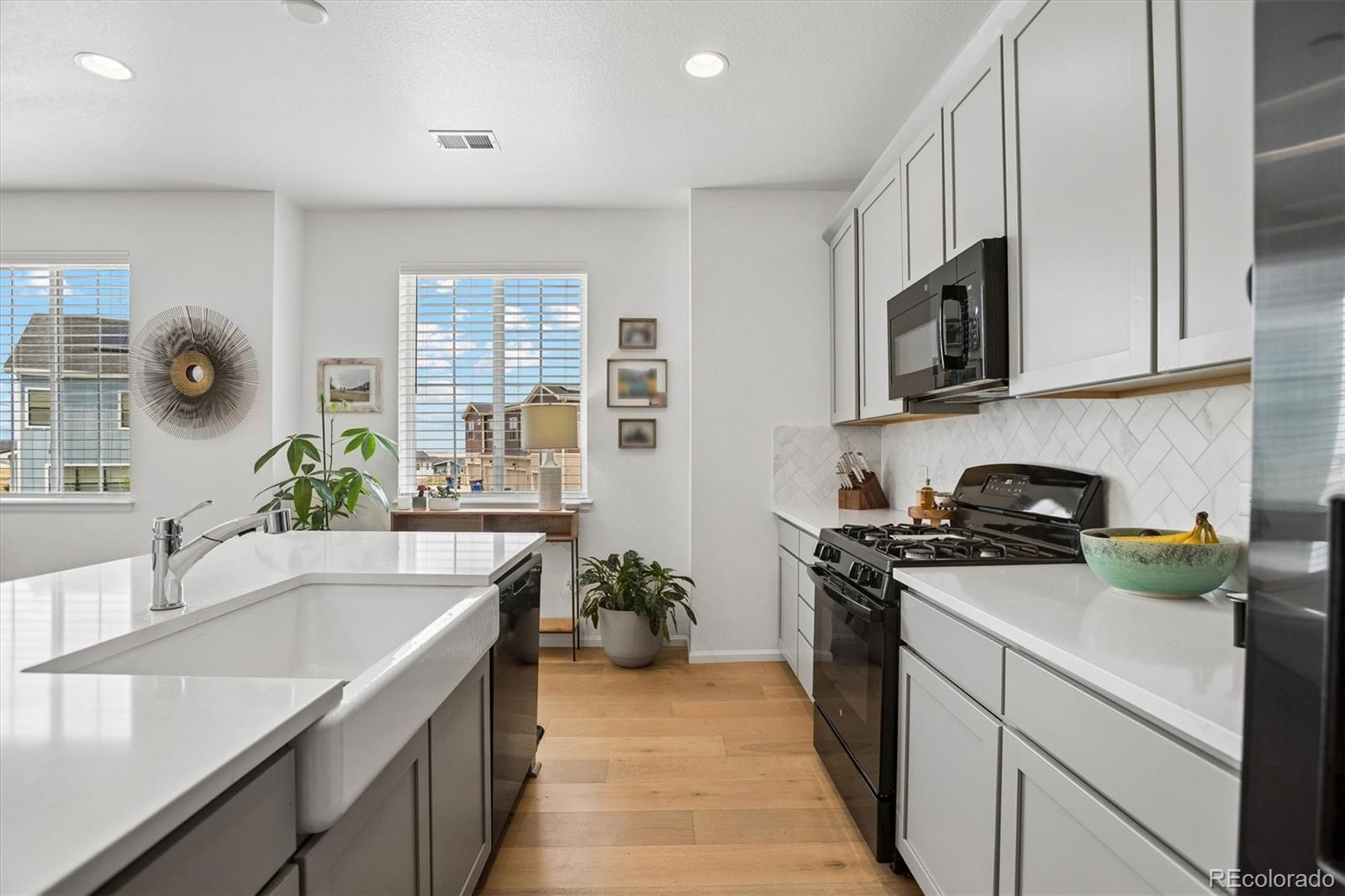 MLS Image #11 for 9175  fraser river street,littleton, Colorado