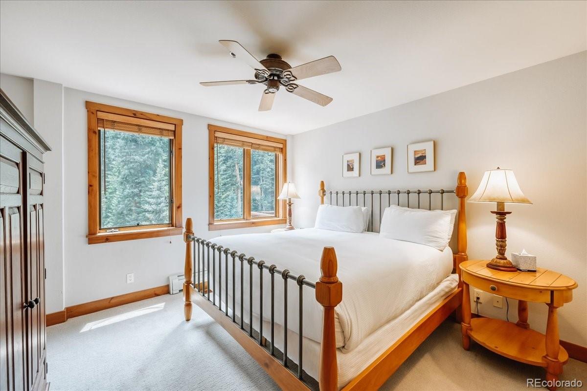 MLS Image #10 for 224  trailhead drive,dillon, Colorado