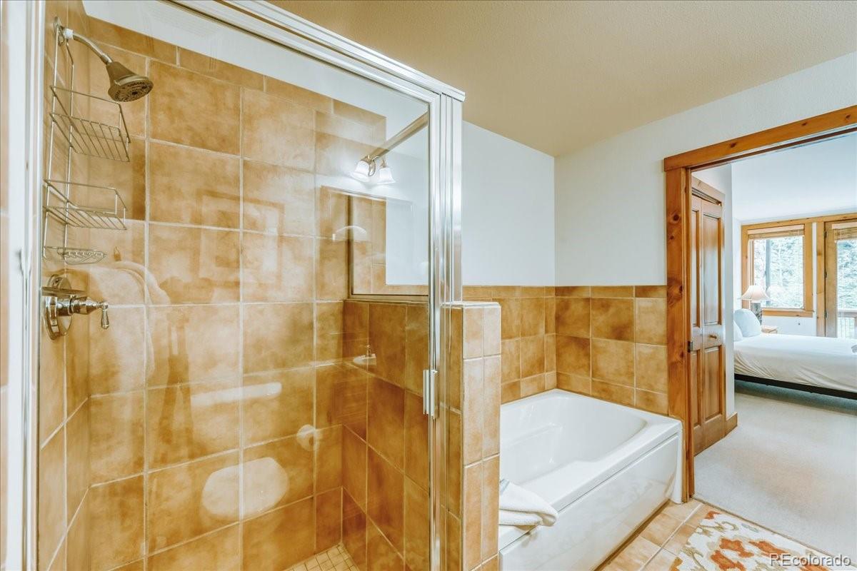 MLS Image #19 for 224  trailhead drive,dillon, Colorado