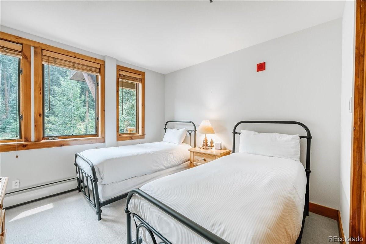 MLS Image #21 for 224  trailhead drive,dillon, Colorado