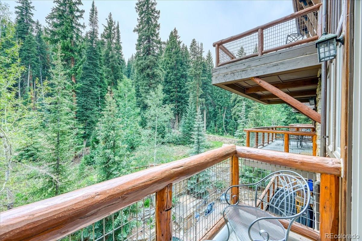 MLS Image #27 for 224  trailhead drive,dillon, Colorado