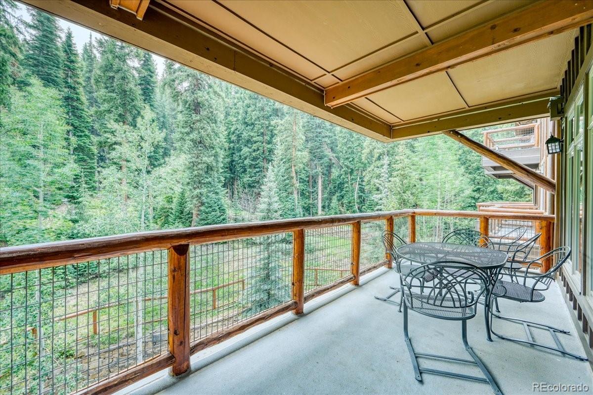MLS Image #28 for 224  trailhead drive,dillon, Colorado