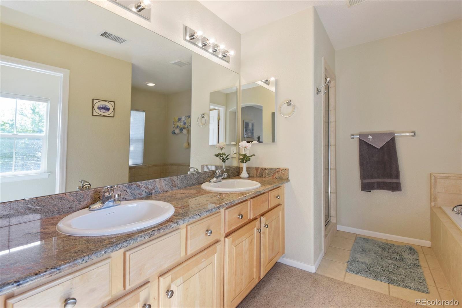 MLS Image #20 for 226  whitehaven circle,littleton, Colorado