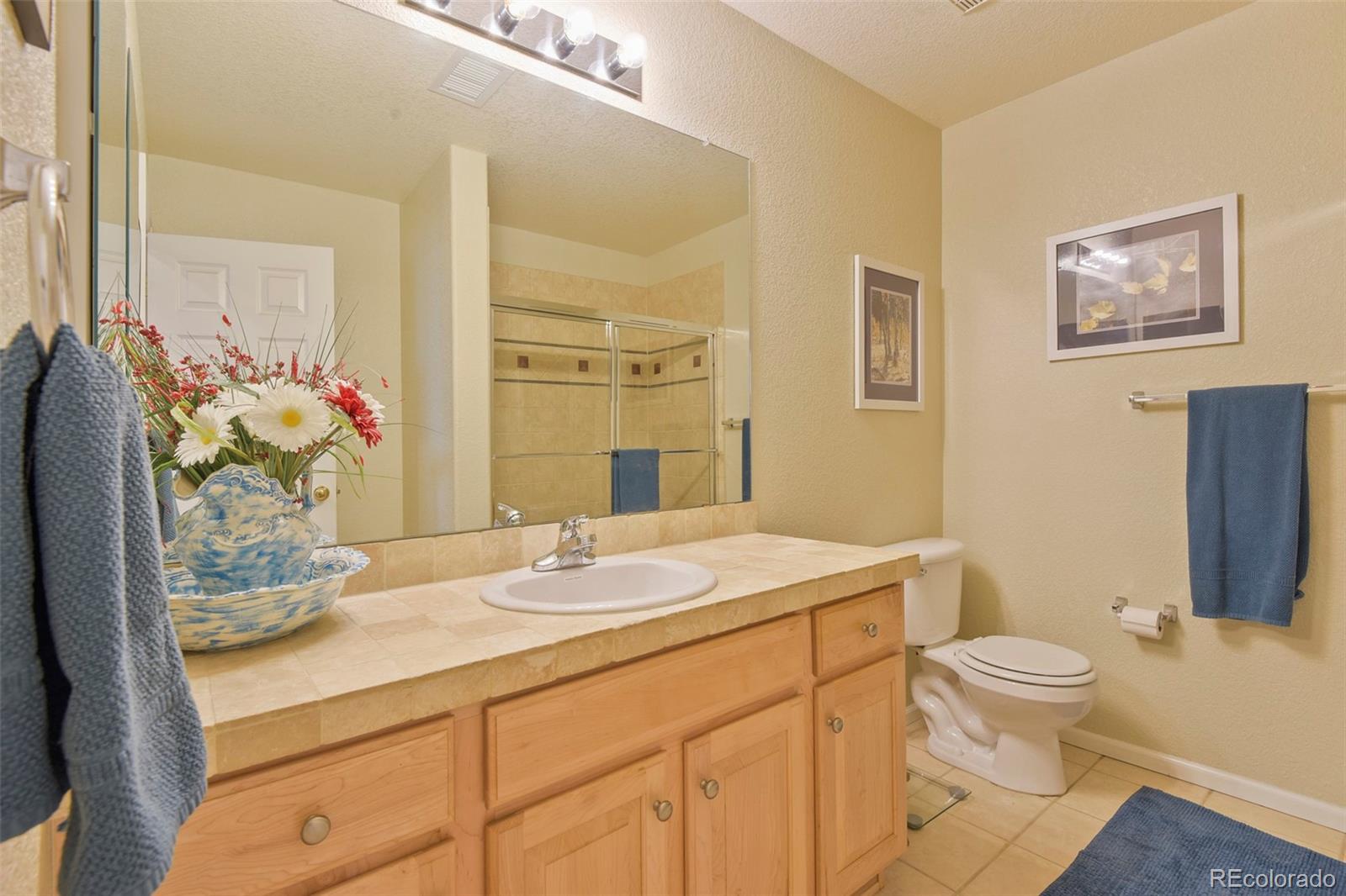 MLS Image #23 for 226  whitehaven circle,littleton, Colorado